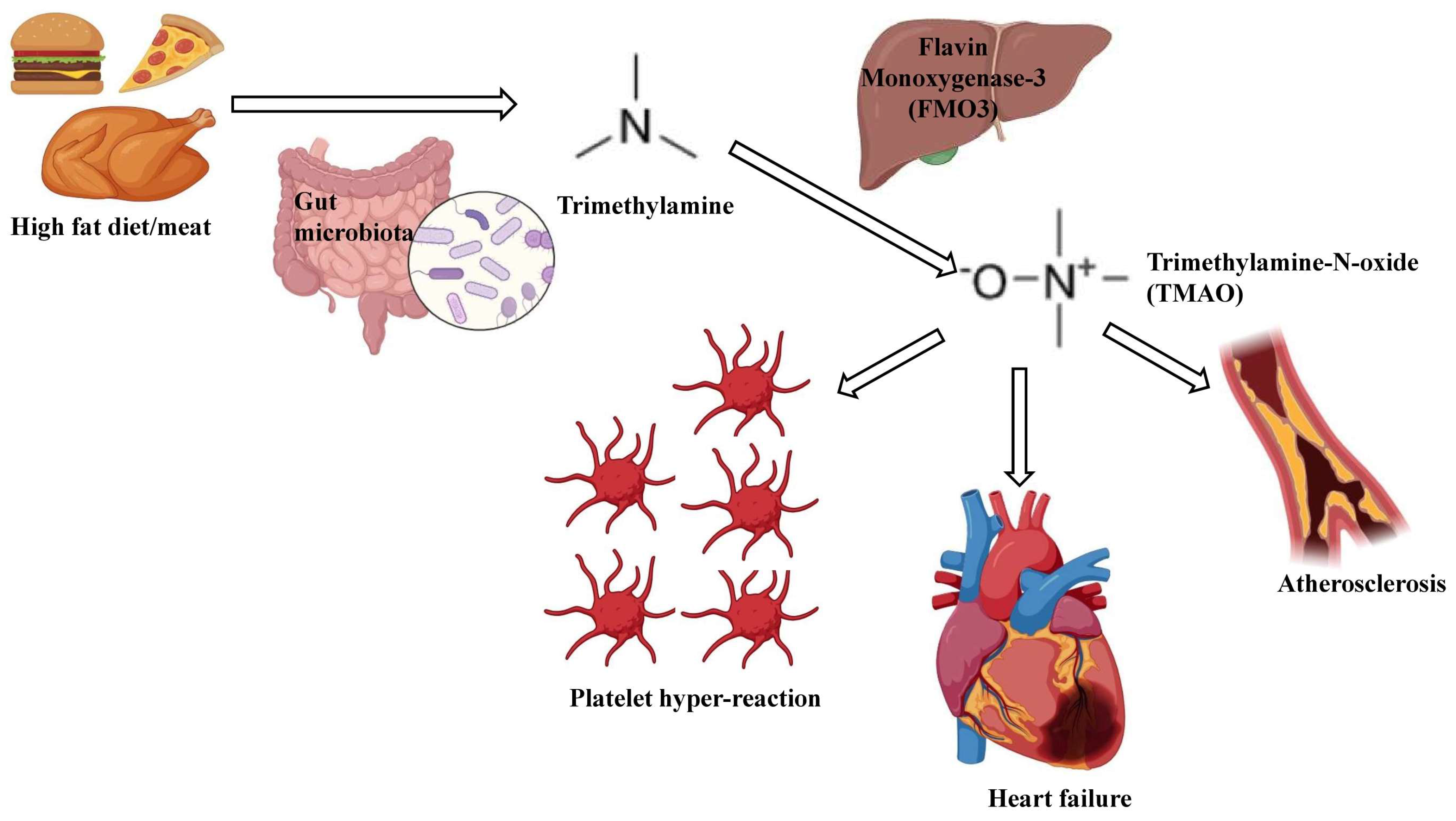 Ijms 25 10208 g002 Ijms 25 10208 g002