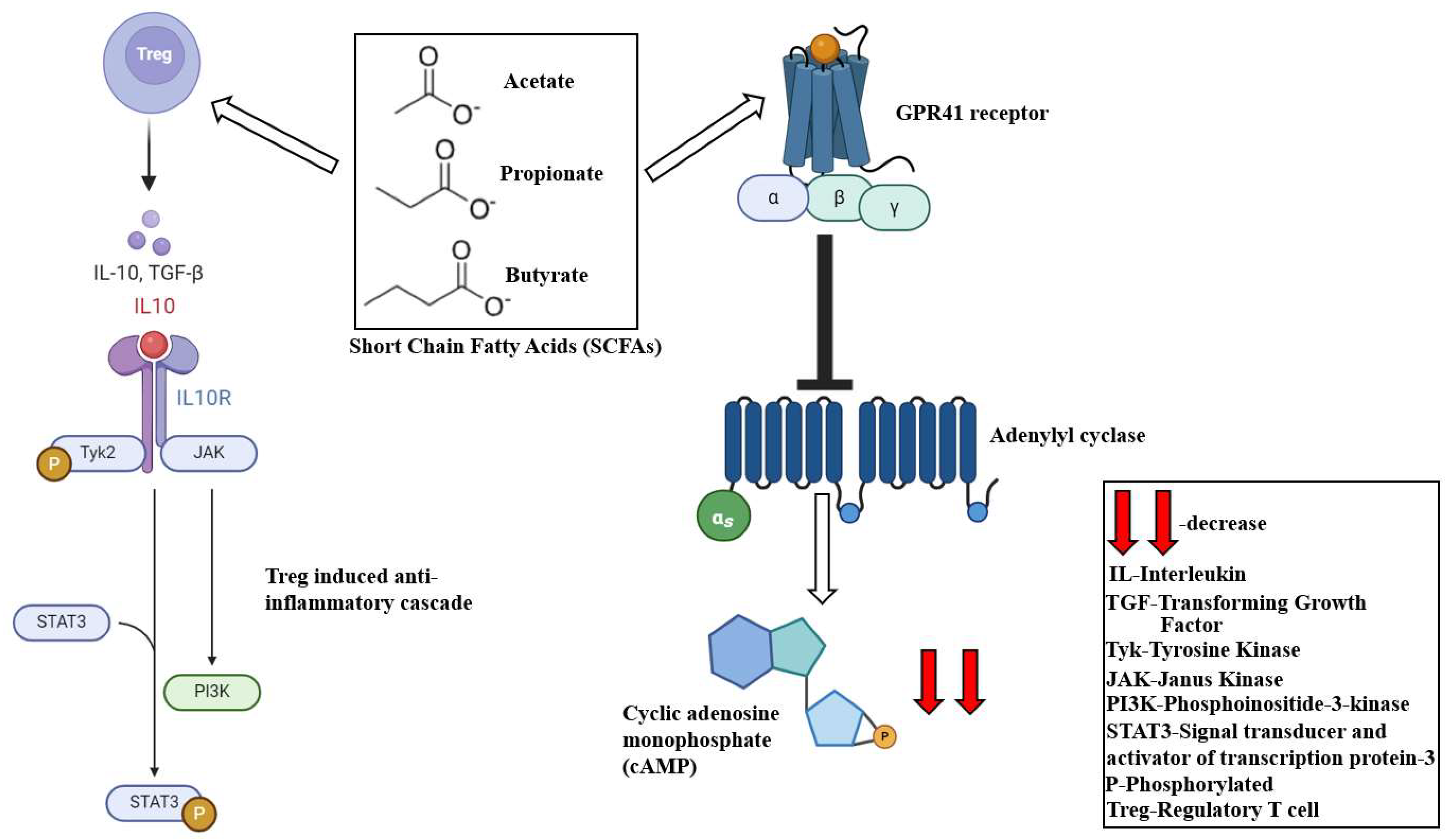 Ijms 25 10208 g003 Ijms 25 10208 g003