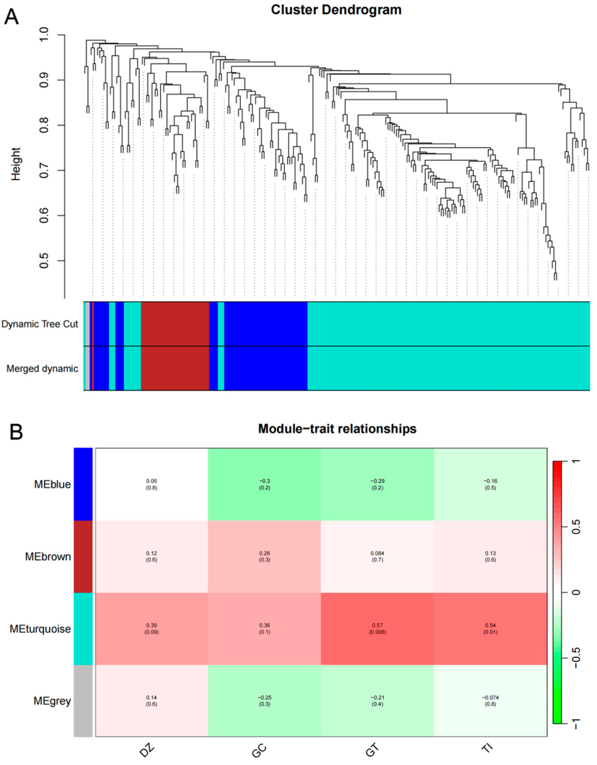 Ijms 25 10221 g006 Ijms 25 10221 g006