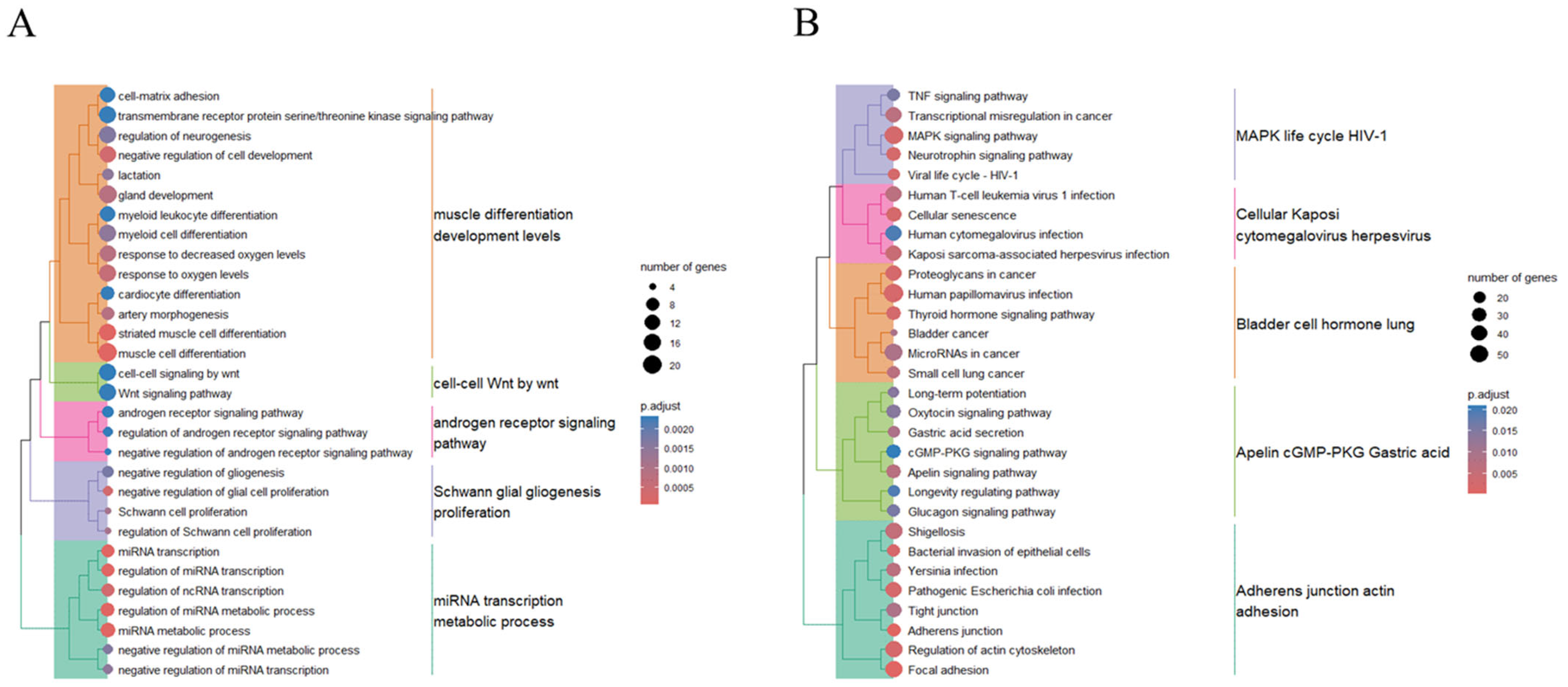 Ijms 25 10223 g005 Ijms 25 10223 g005