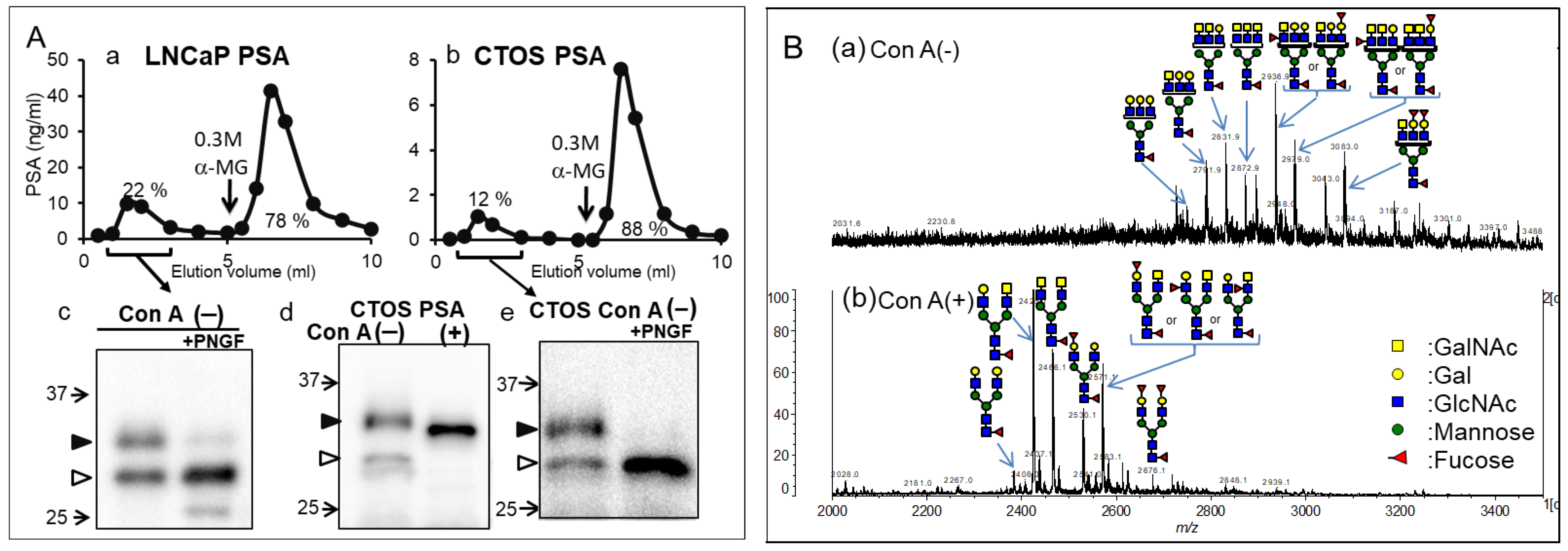 Ijms 25 10231 g002 Ijms 25 10231 g002