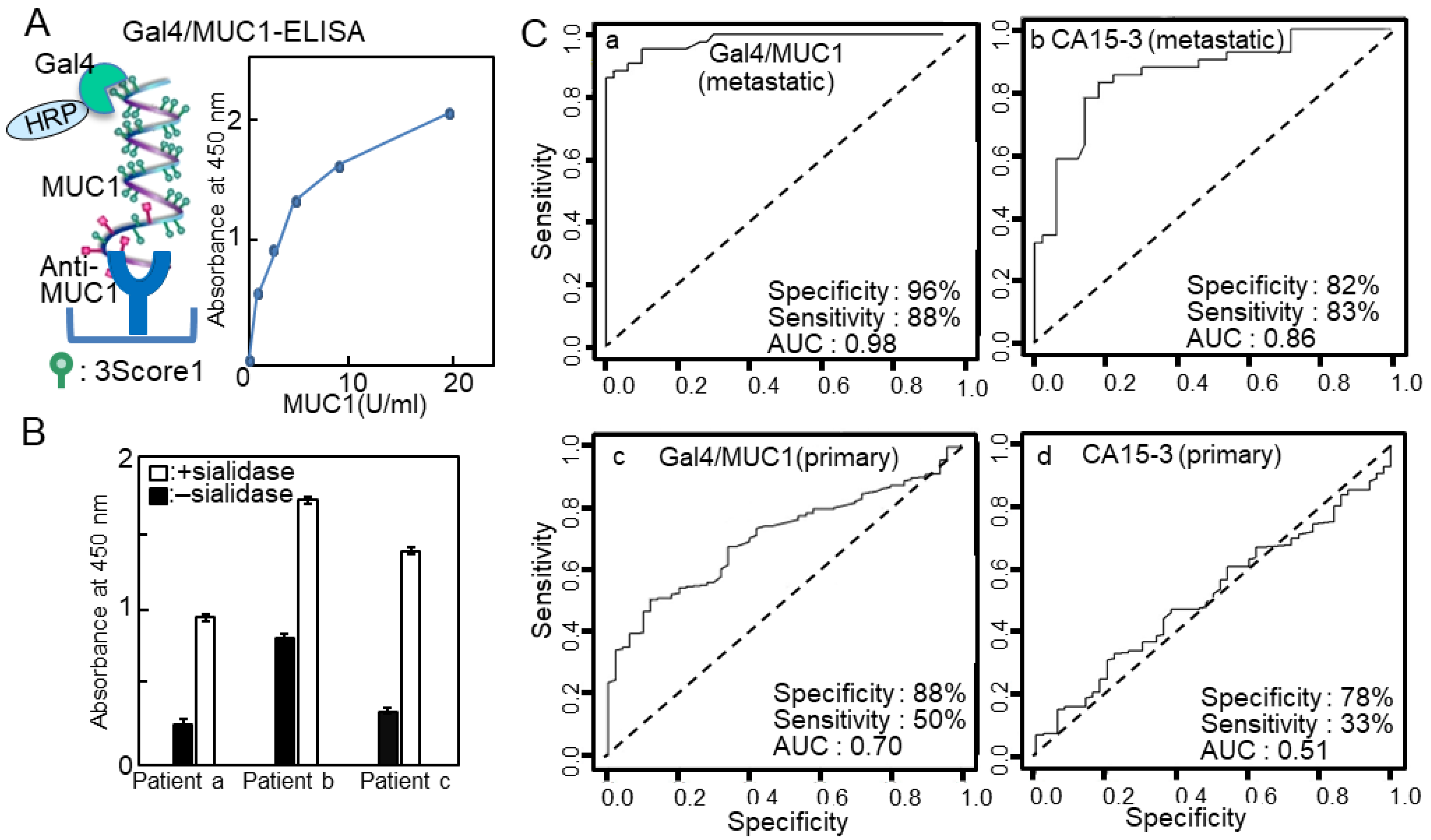 Ijms 25 10231 g003 Ijms 25 10231 g003