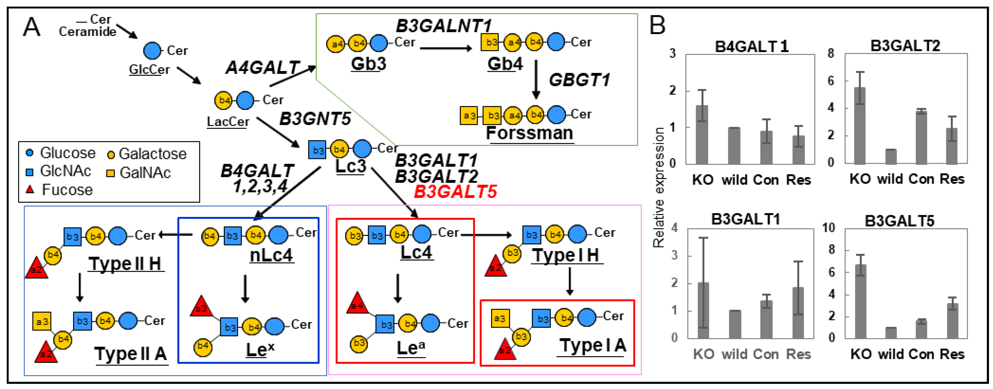 Ijms 25 10231 g006 Ijms 25 10231 g006