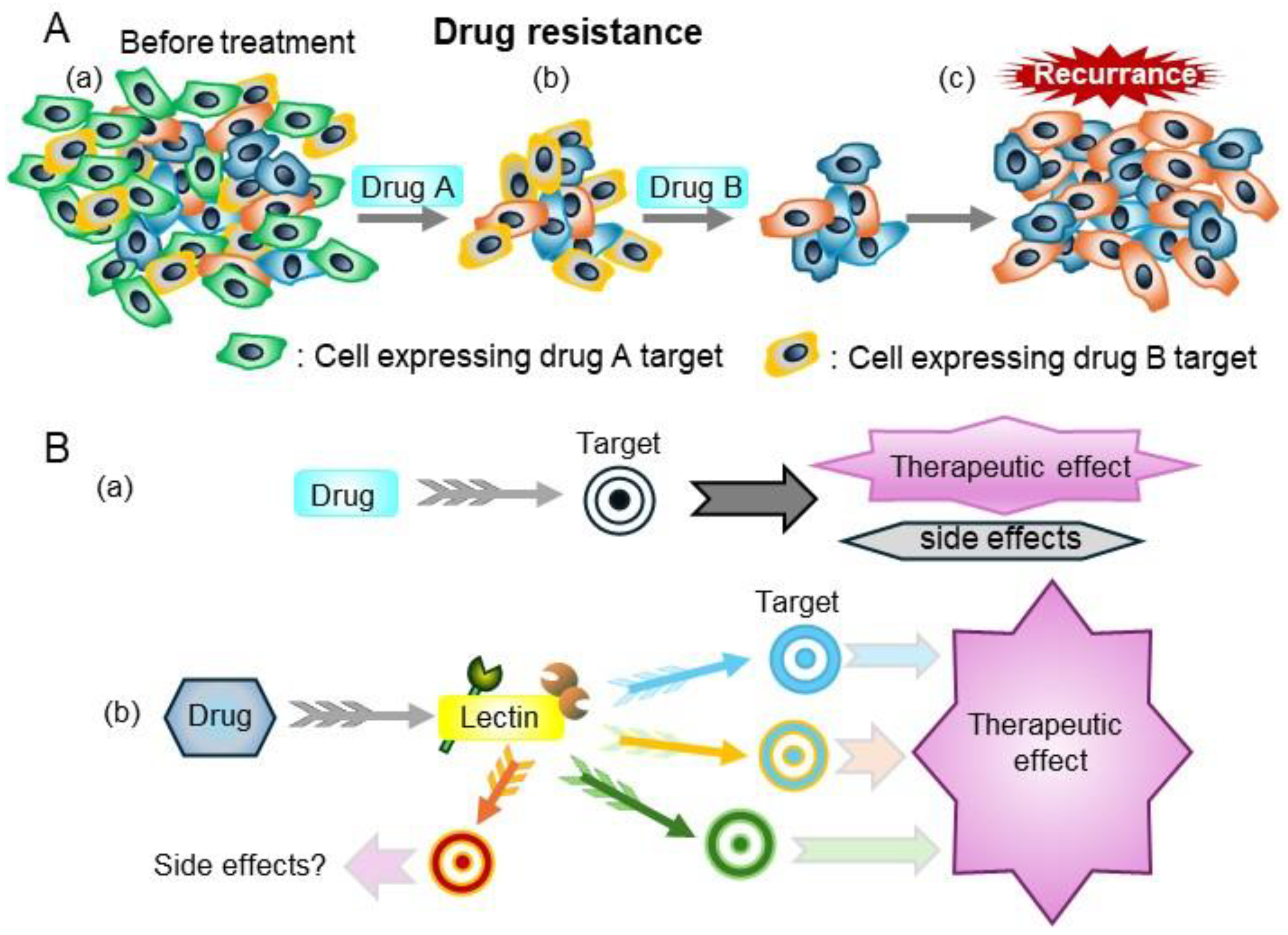 Ijms 25 10231 g007 Ijms 25 10231 g007