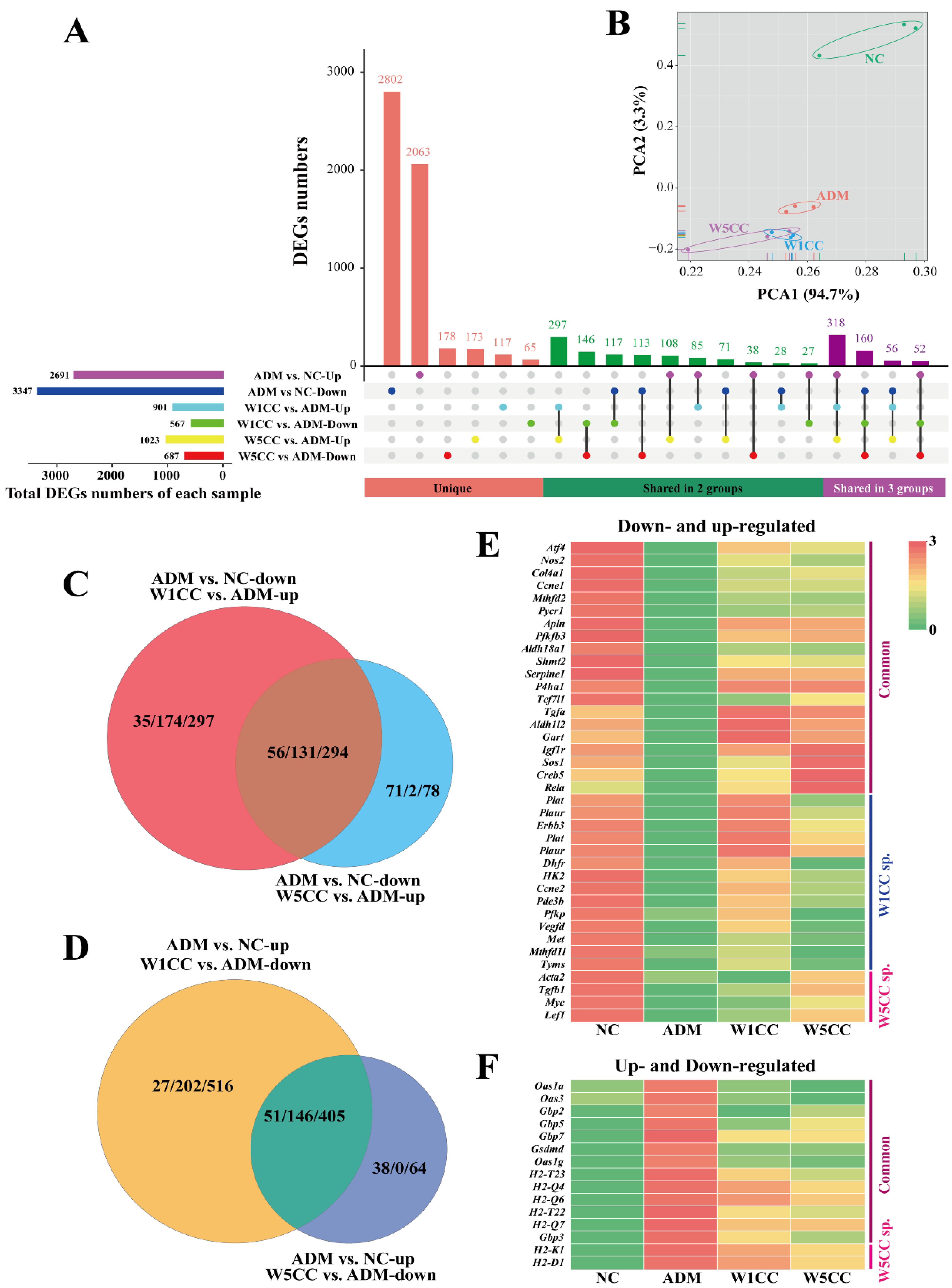 Ijms 25 10352 g005 Ijms 25 10352 g005