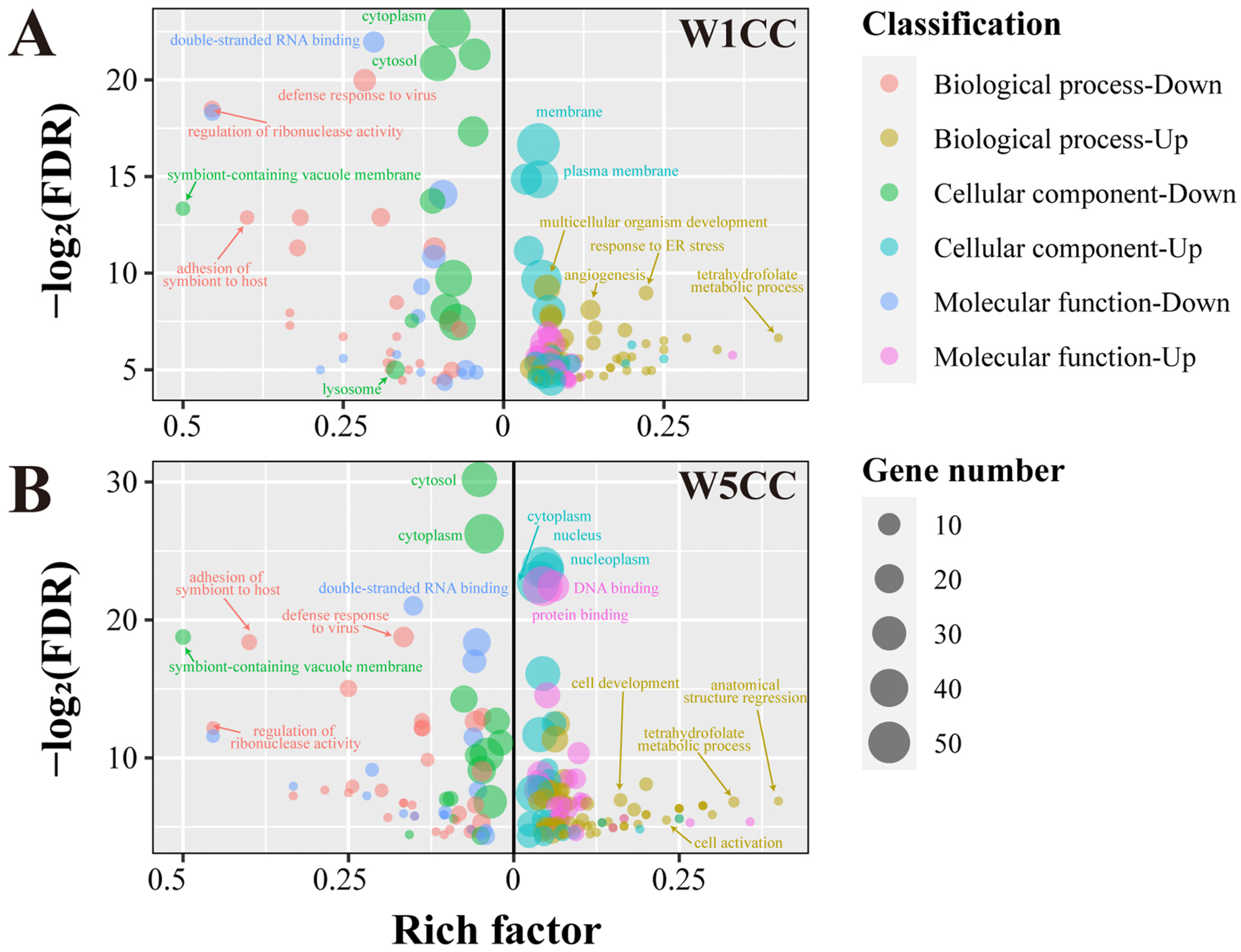 Ijms 25 10352 g006 Ijms 25 10352 g006