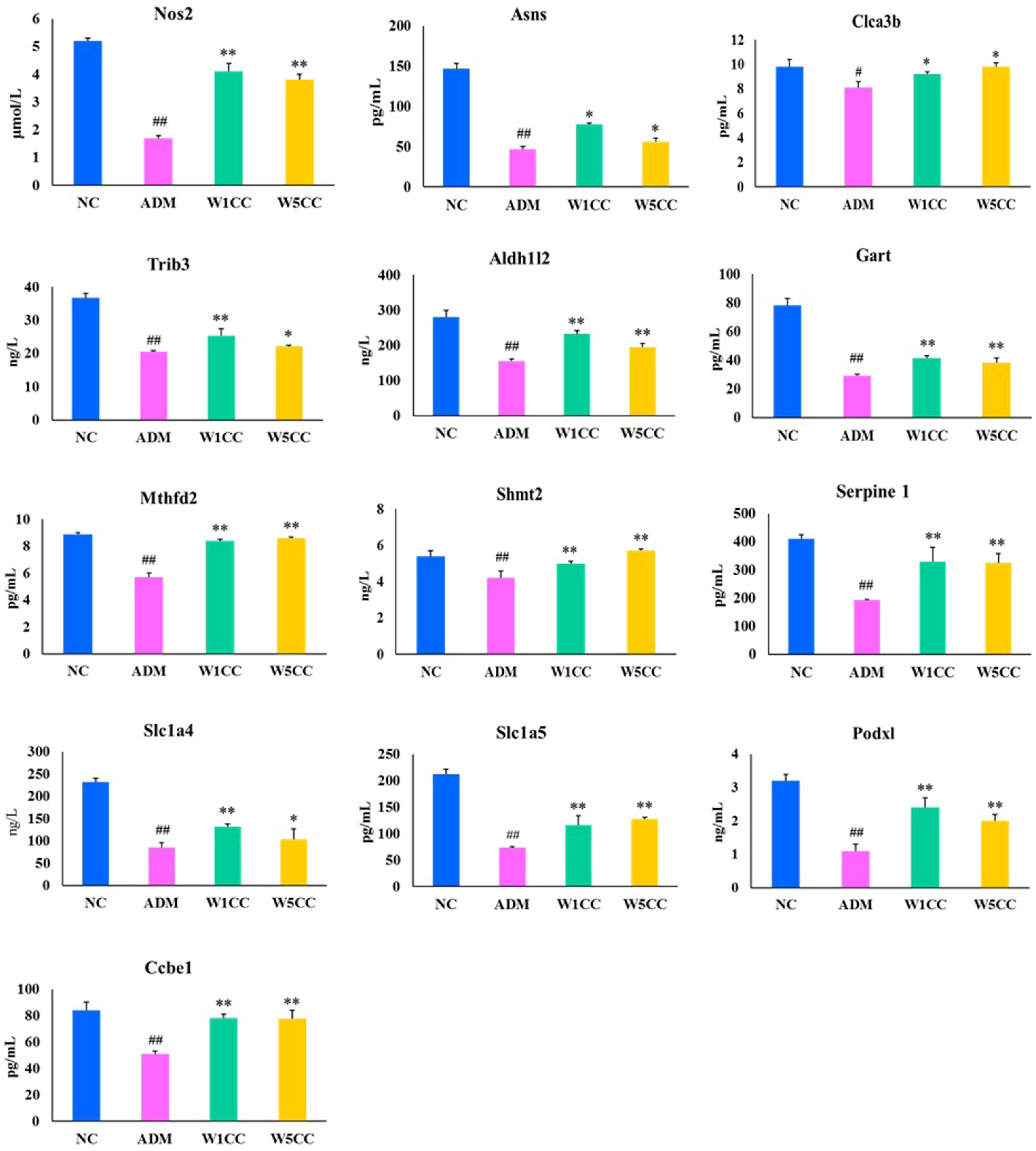 Ijms 25 10352 g009 Ijms 25 10352 g009
