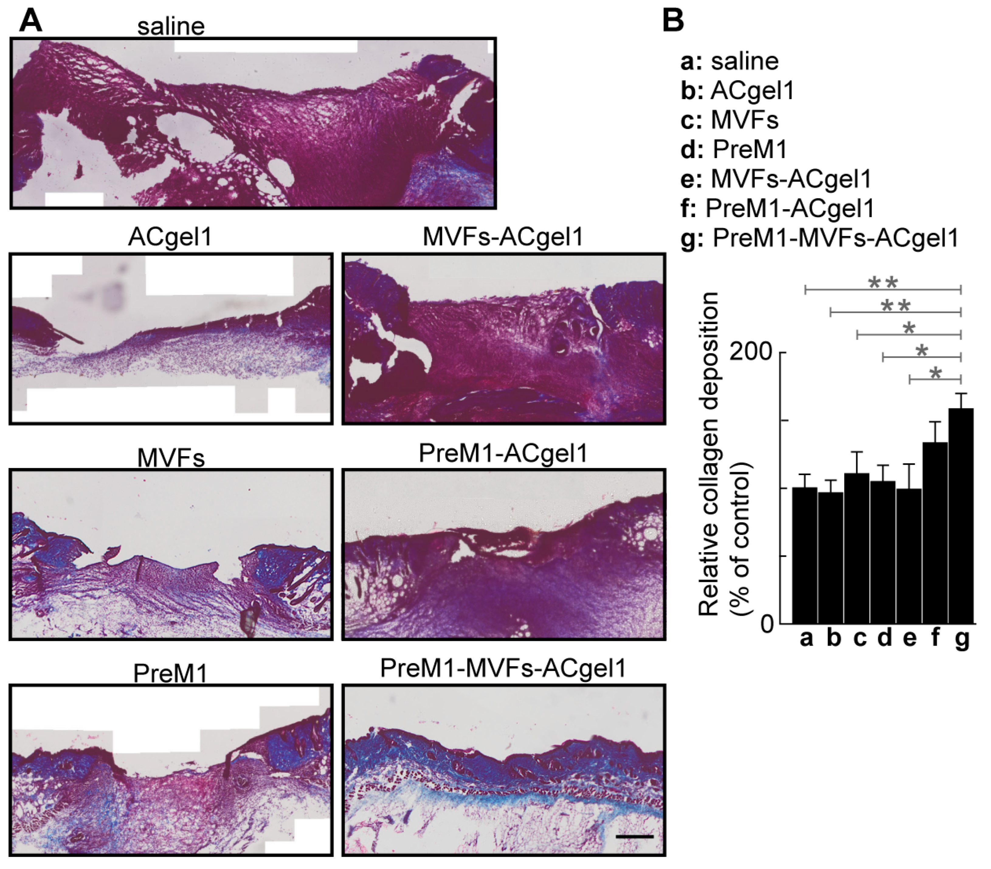 Ijms 25 10378 g005 Ijms 25 10378 g005