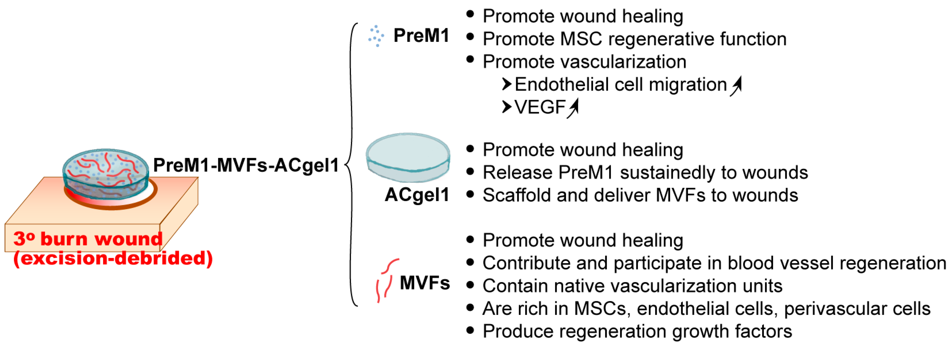 Ijms 25 10378 g006 Ijms 25 10378 g006
