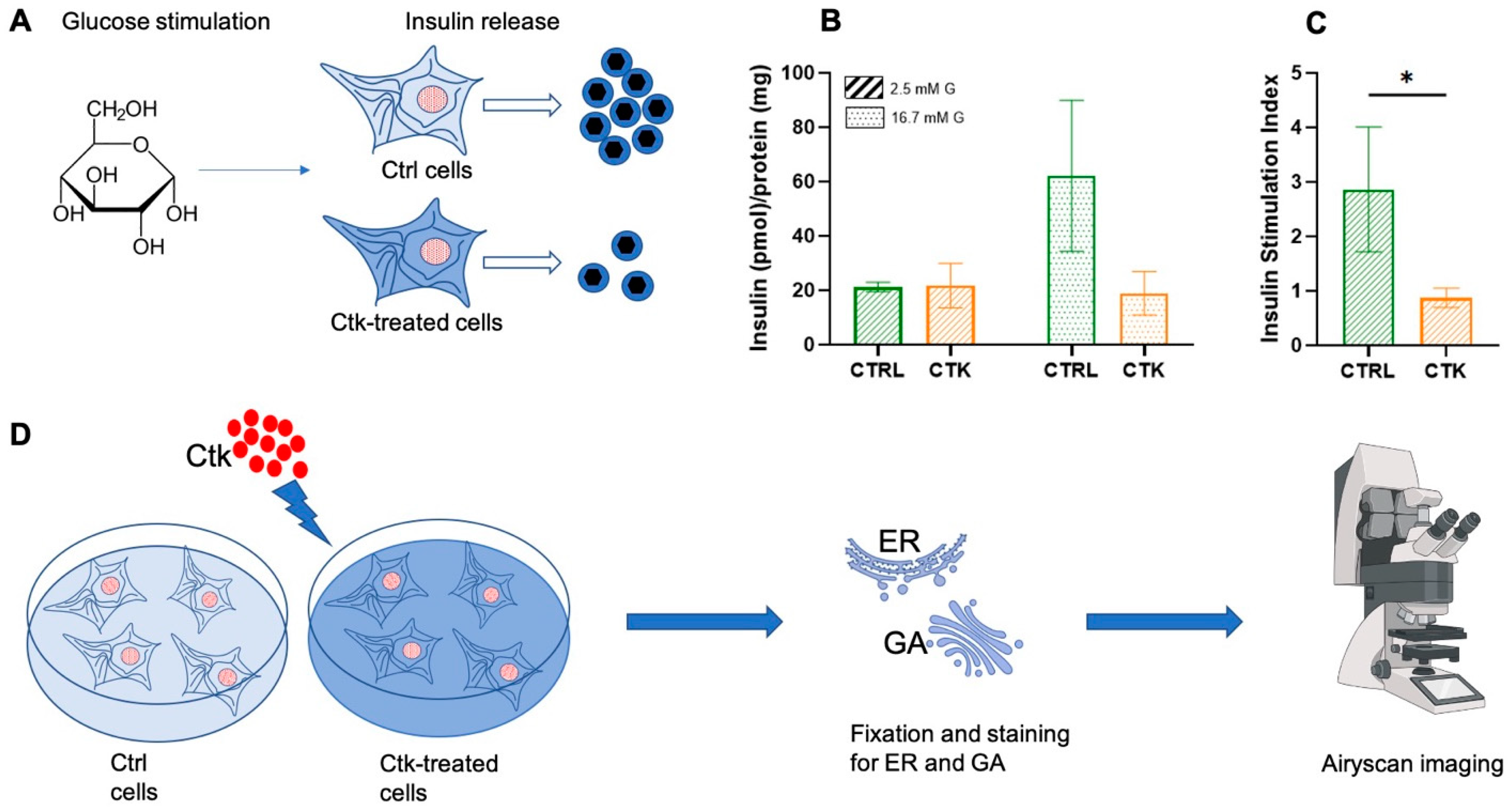 Ijms 25 10391 g001 Ijms 25 10391 g001