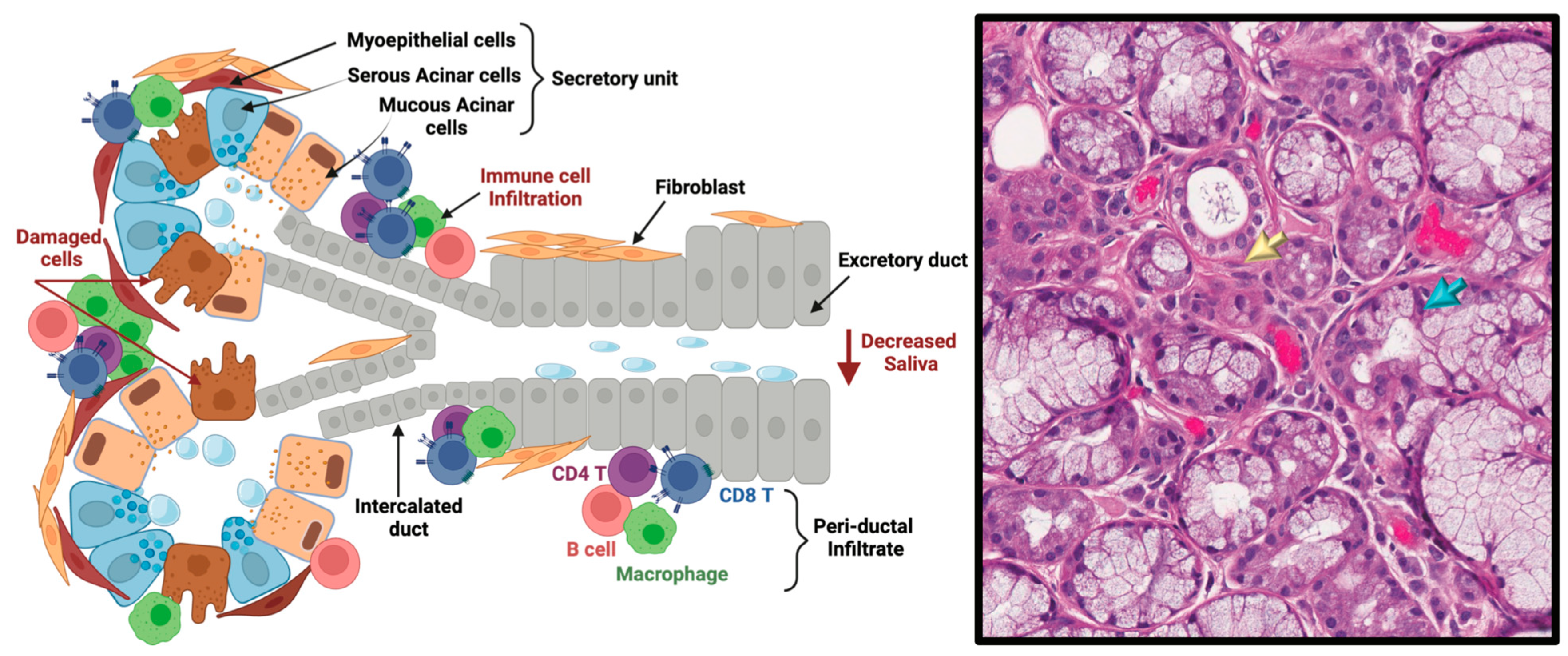 Ijms 25 10411 g003 Ijms 25 10411 g003