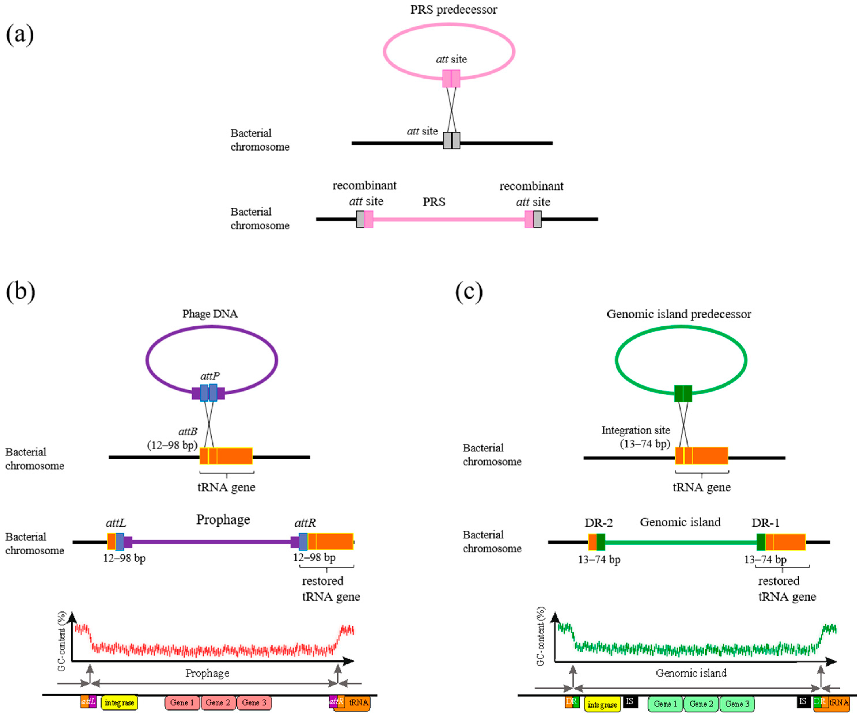 Ijms 25 10421 g001 Ijms 25 10421 g001