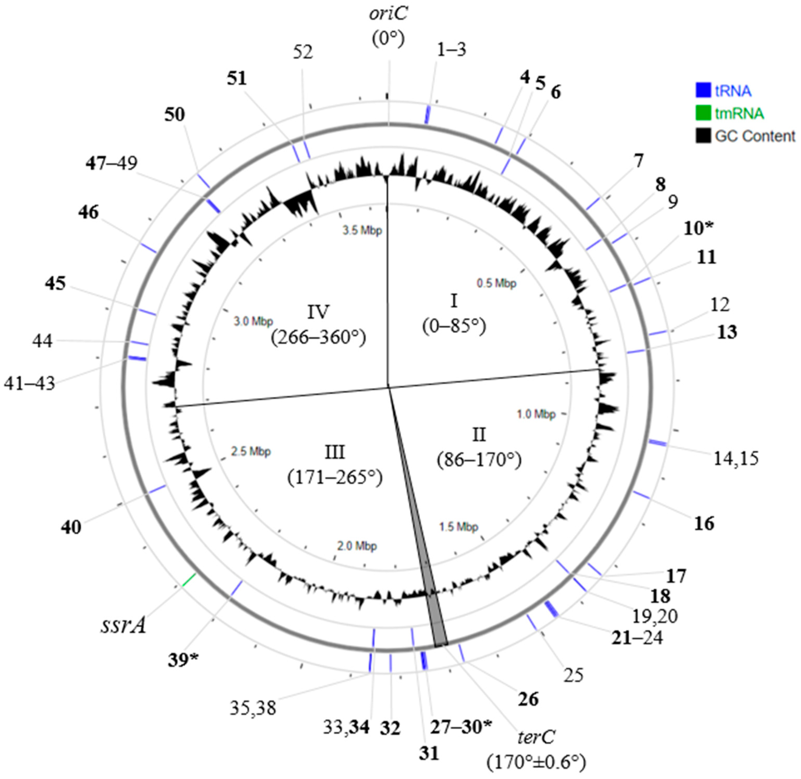 Ijms 25 10421 g002 Ijms 25 10421 g002