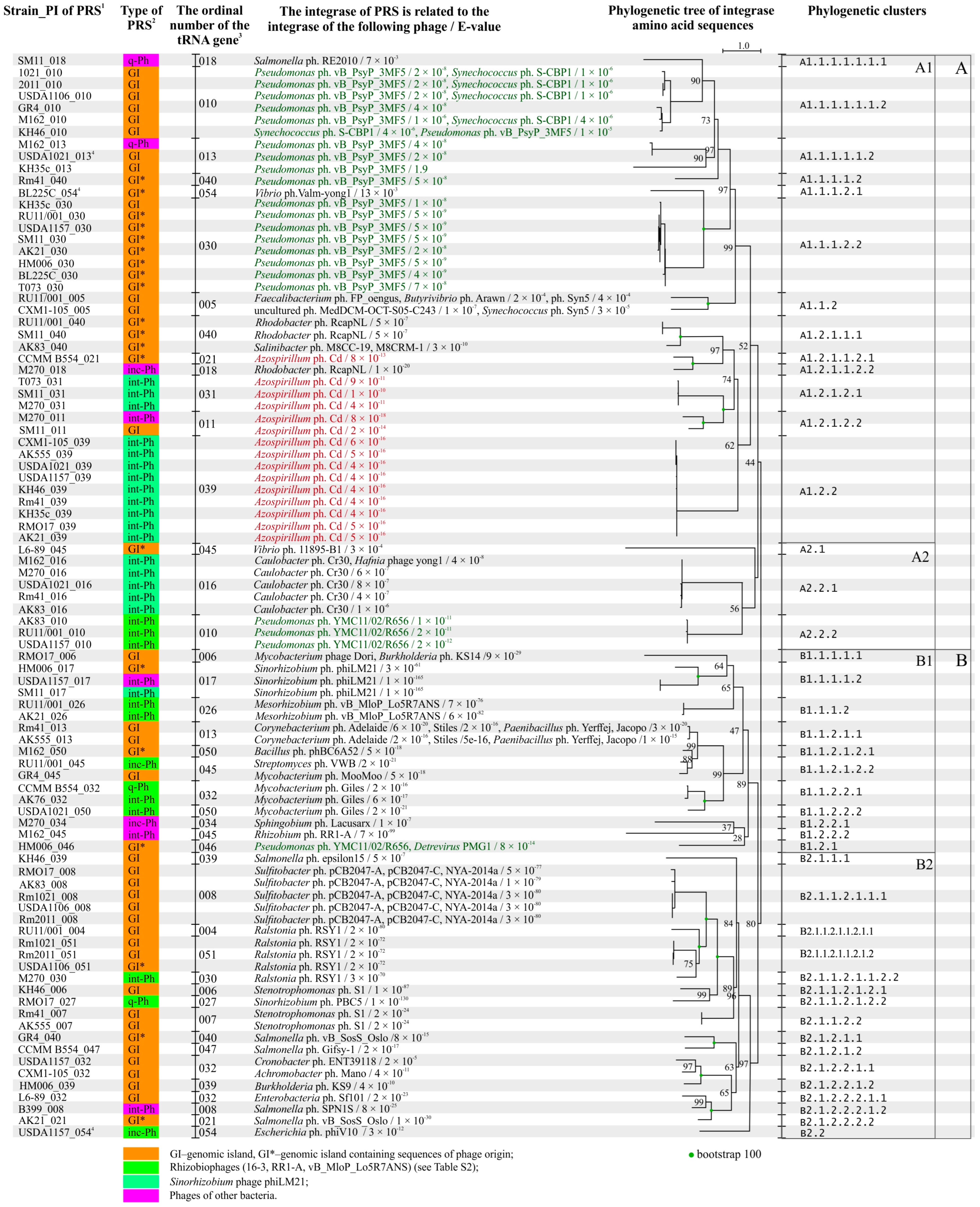 Ijms 25 10421 g006 Ijms 25 10421 g006