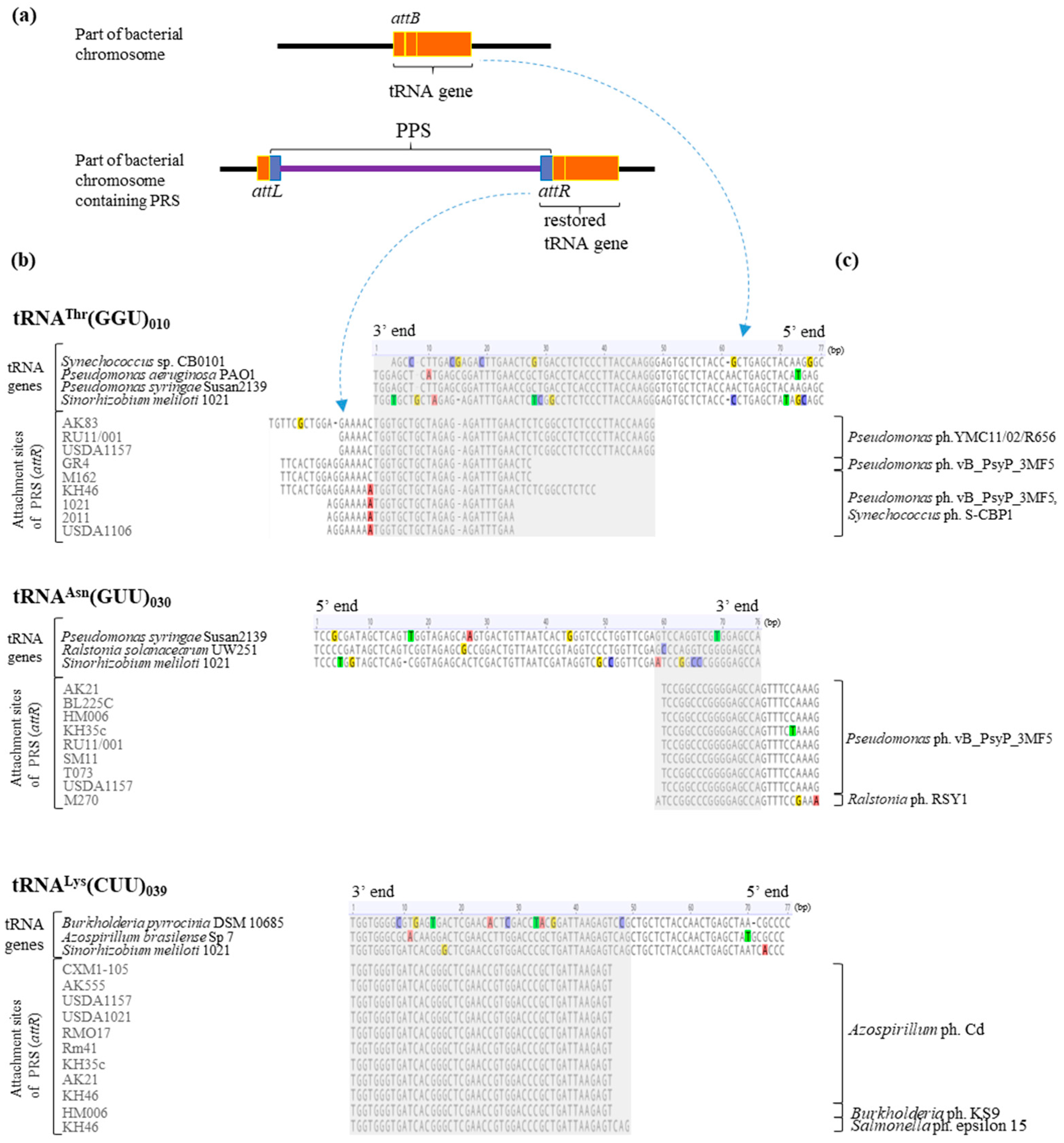 Ijms 25 10421 g007 Ijms 25 10421 g007