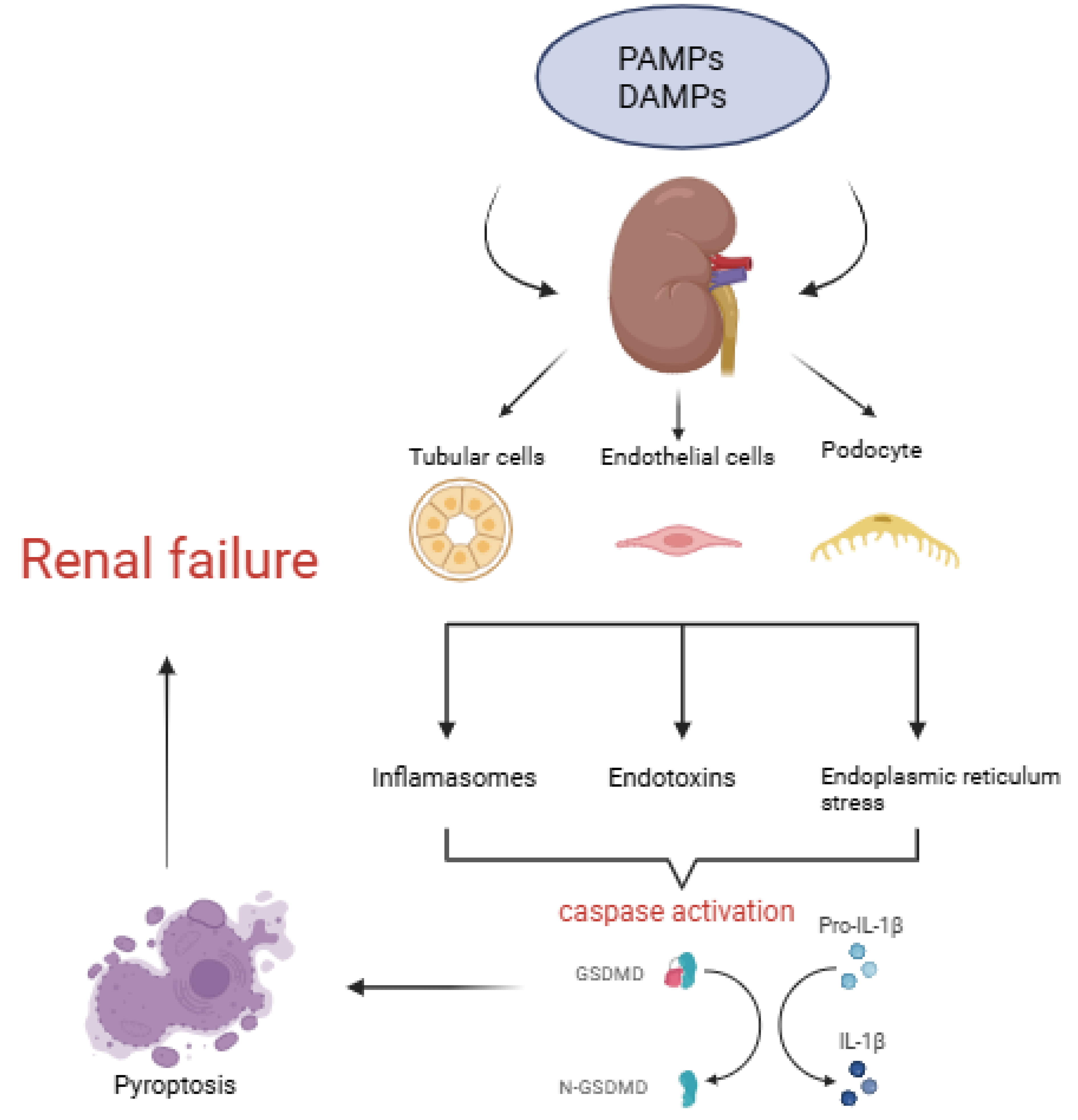 Ijms 25 10429 g002 Ijms 25 10429 g002