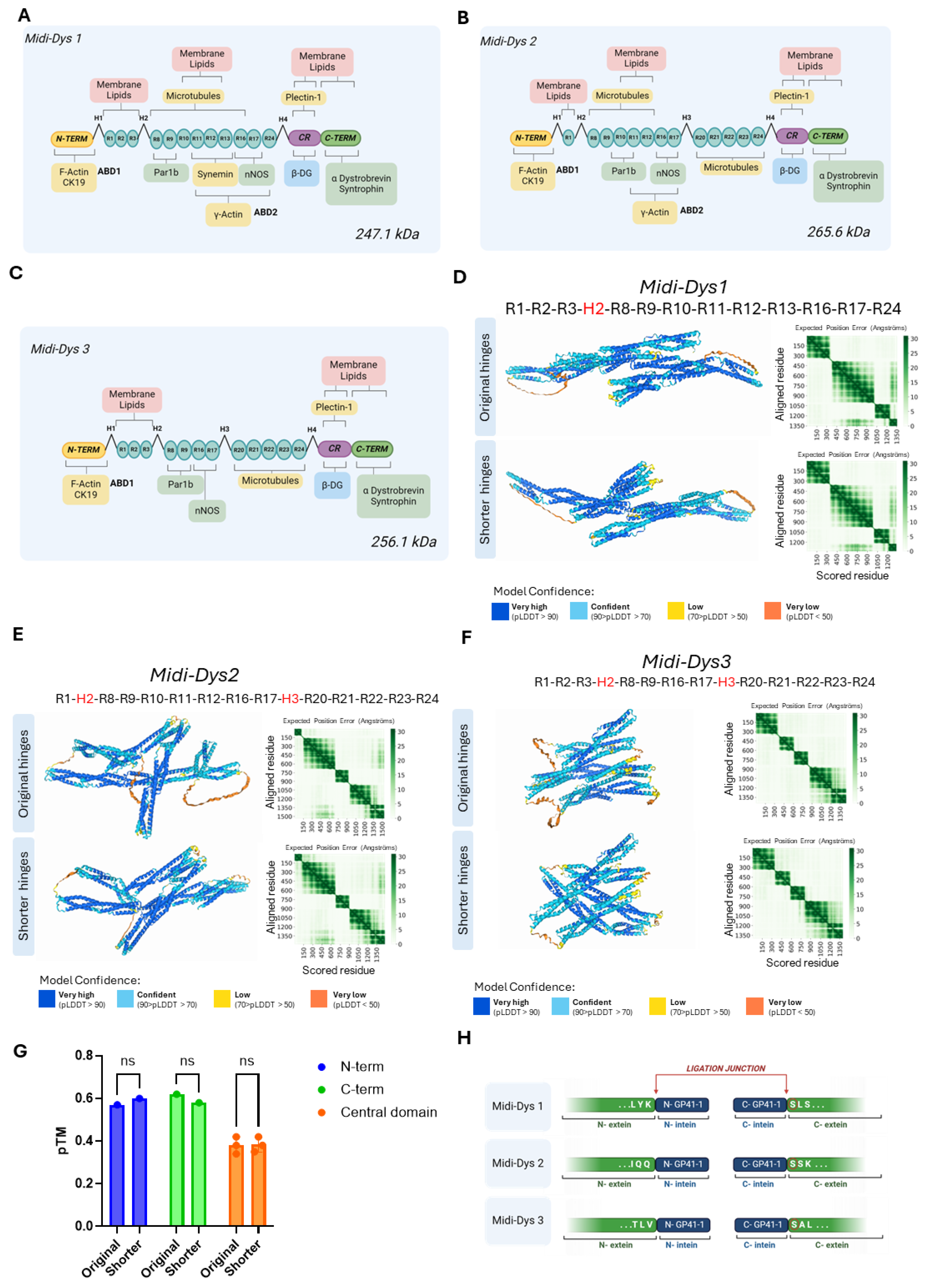 Ijms 25 10444 g001 Ijms 25 10444 g001