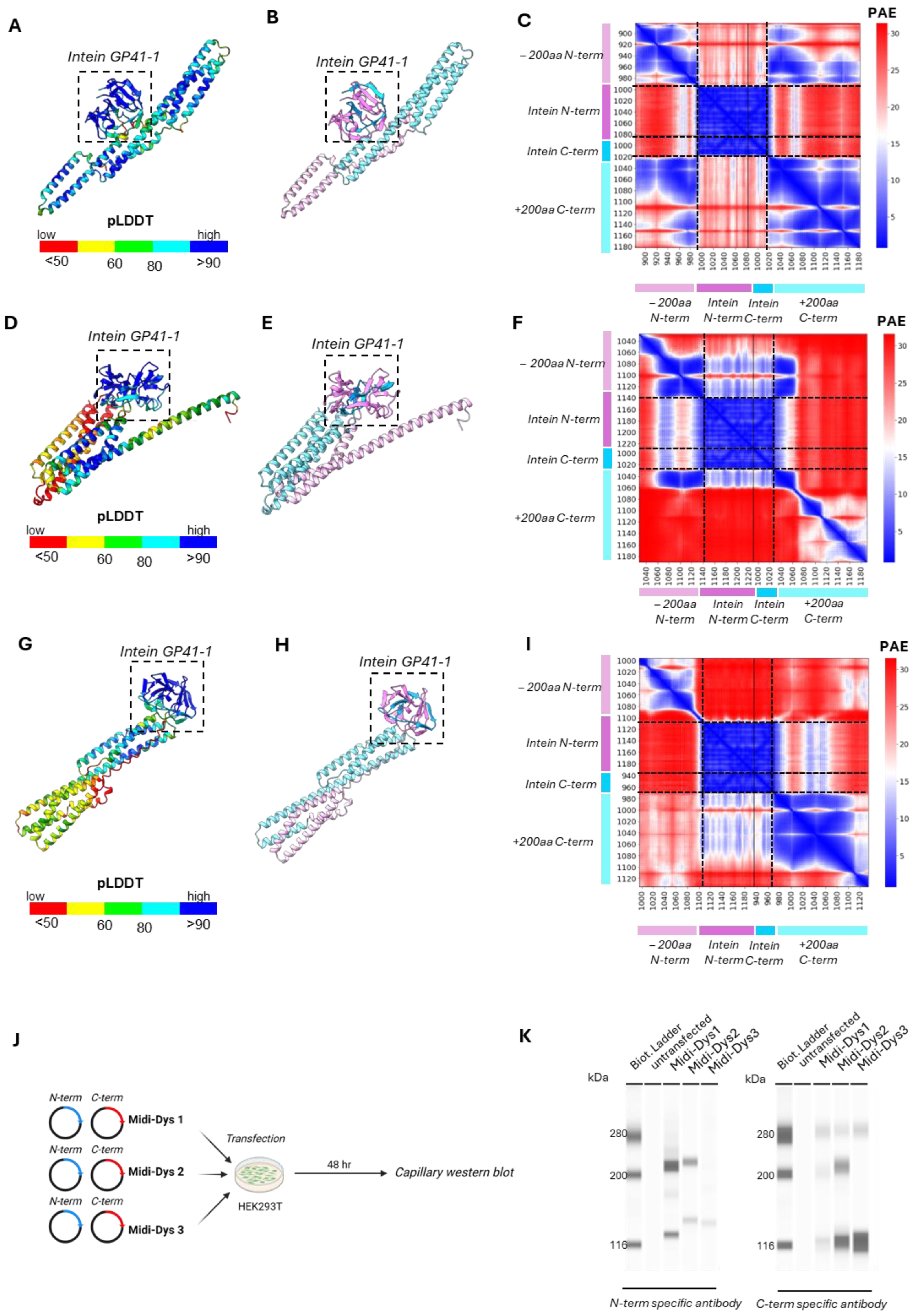 Ijms 25 10444 g003 Ijms 25 10444 g003