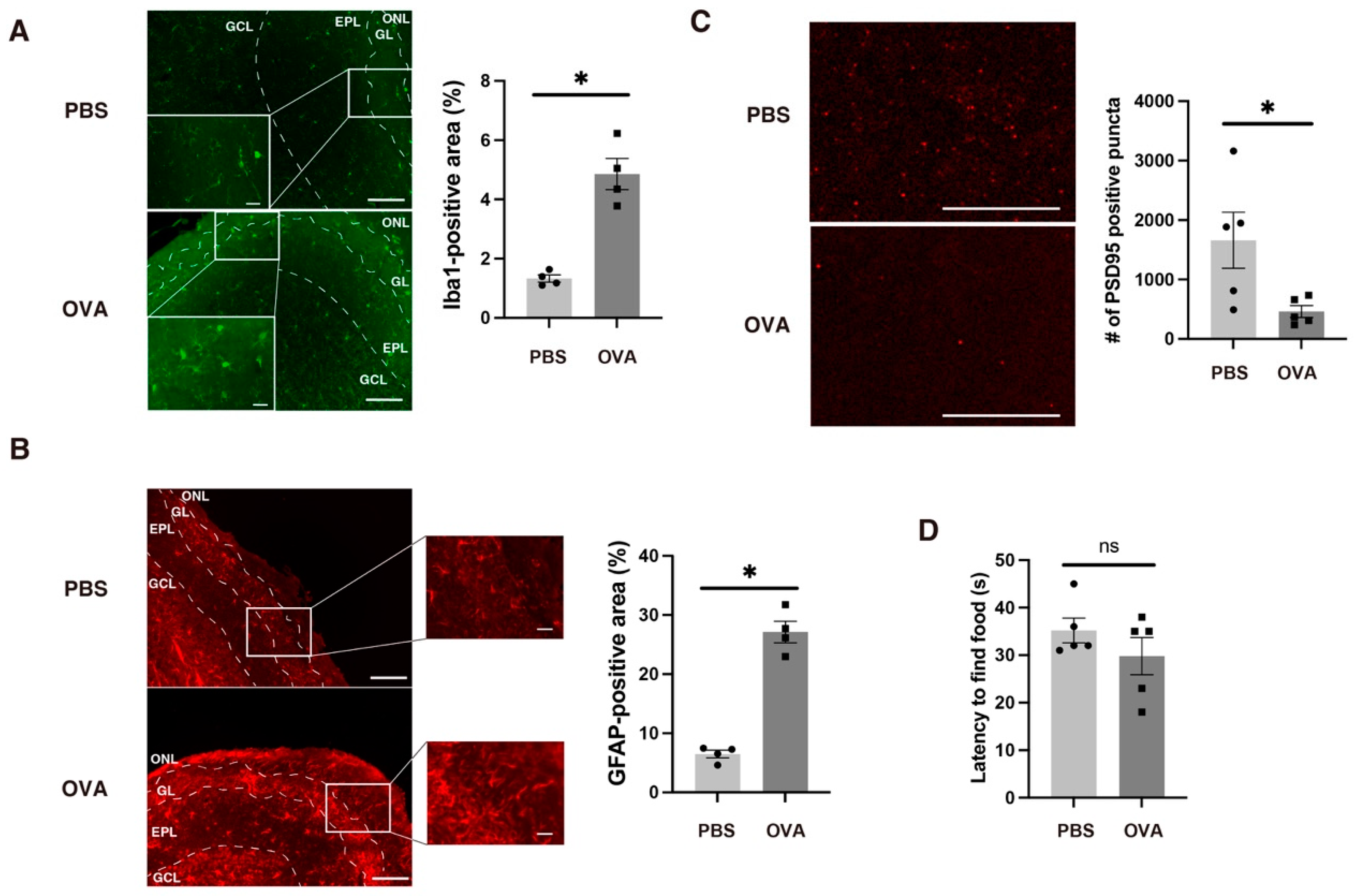 Ijms 25 10464 g003 Ijms 25 10464 g003
