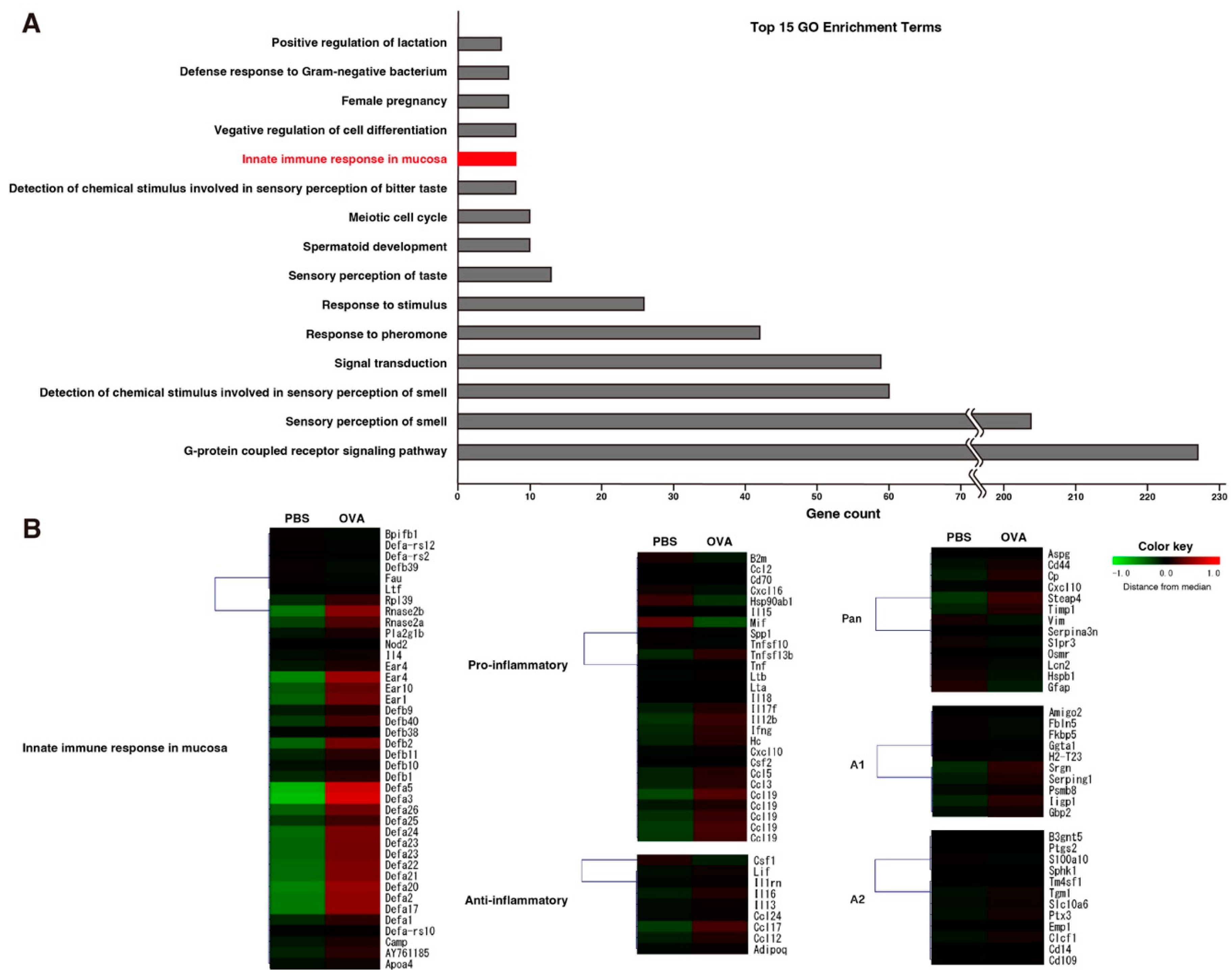 Ijms 25 10464 g004 Ijms 25 10464 g004