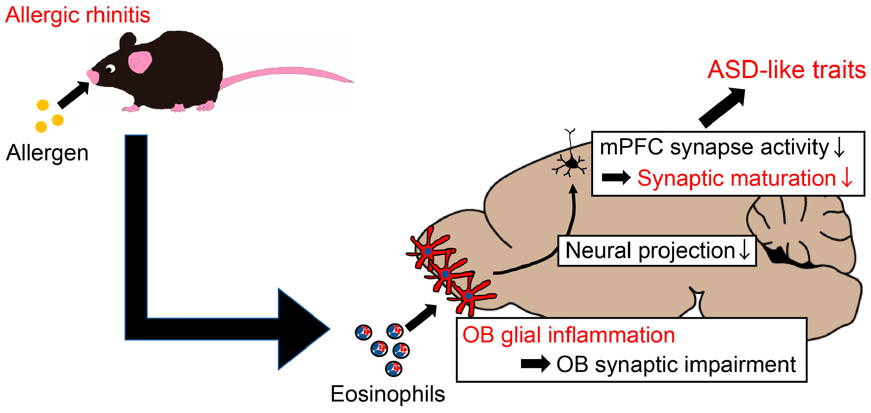 Ijms 25 10464 g007 Ijms 25 10464 g007