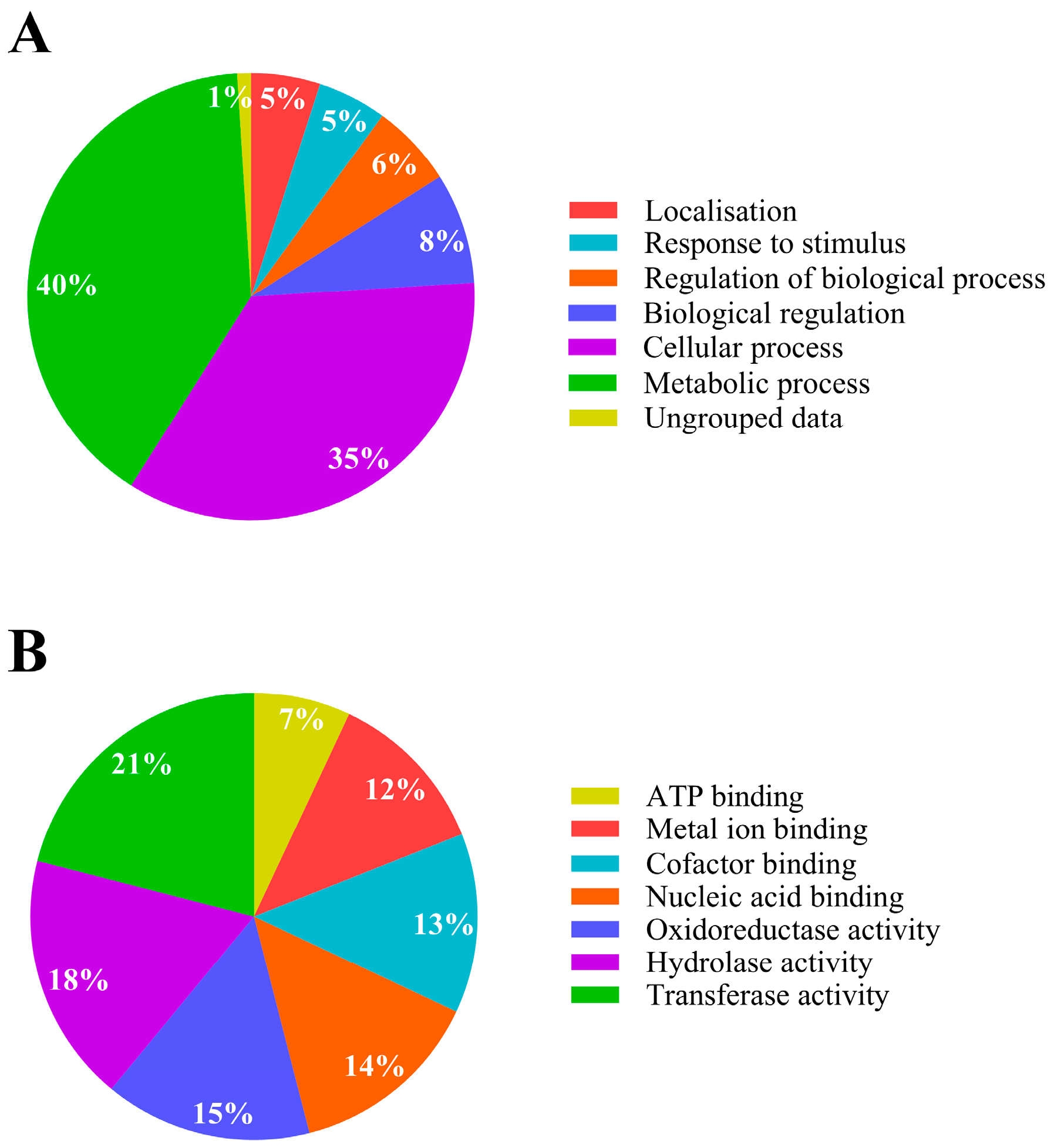 Ijms 25 10471 g002 Ijms 25 10471 g002
