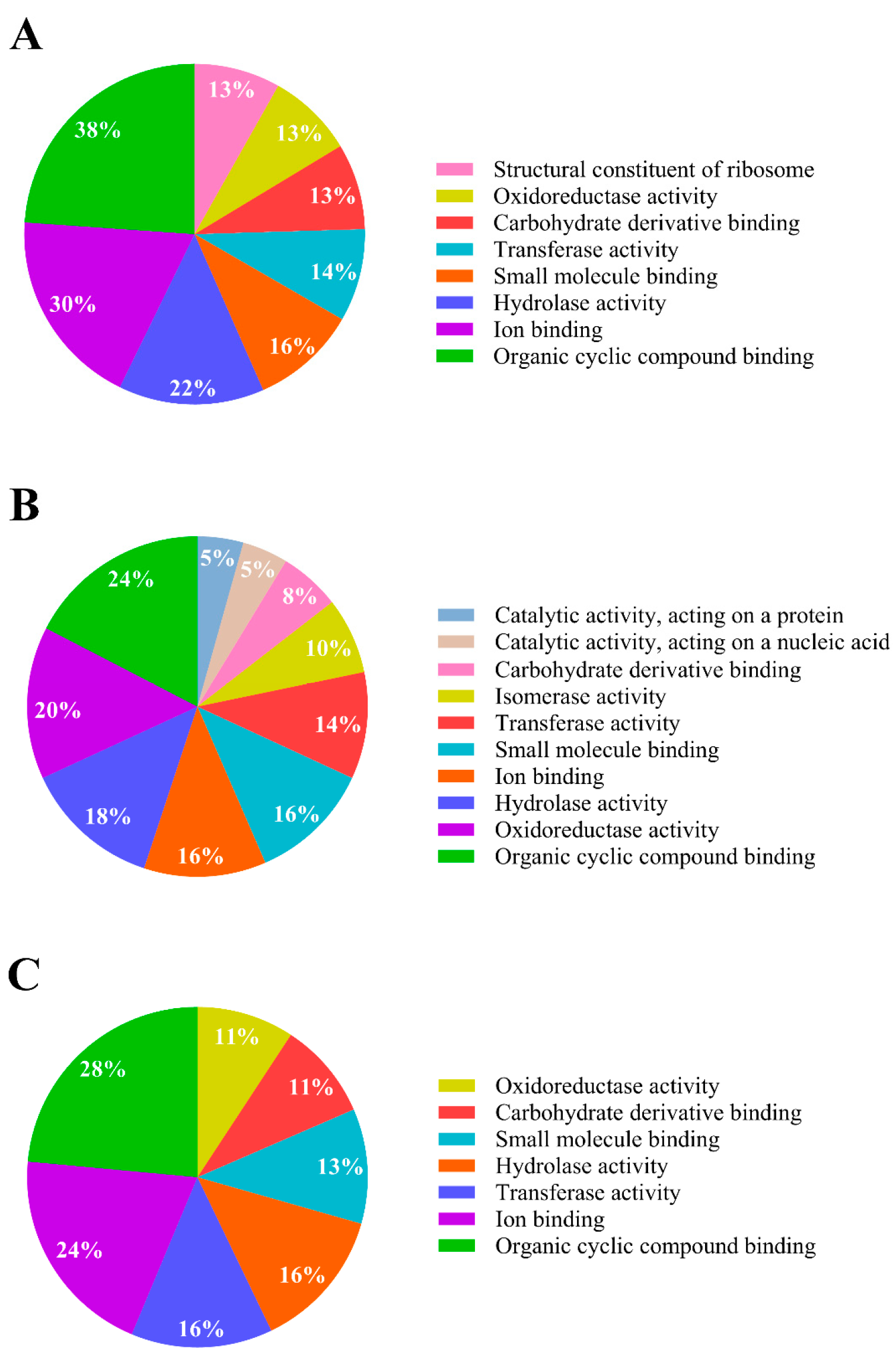 Ijms 25 10471 g003 Ijms 25 10471 g003