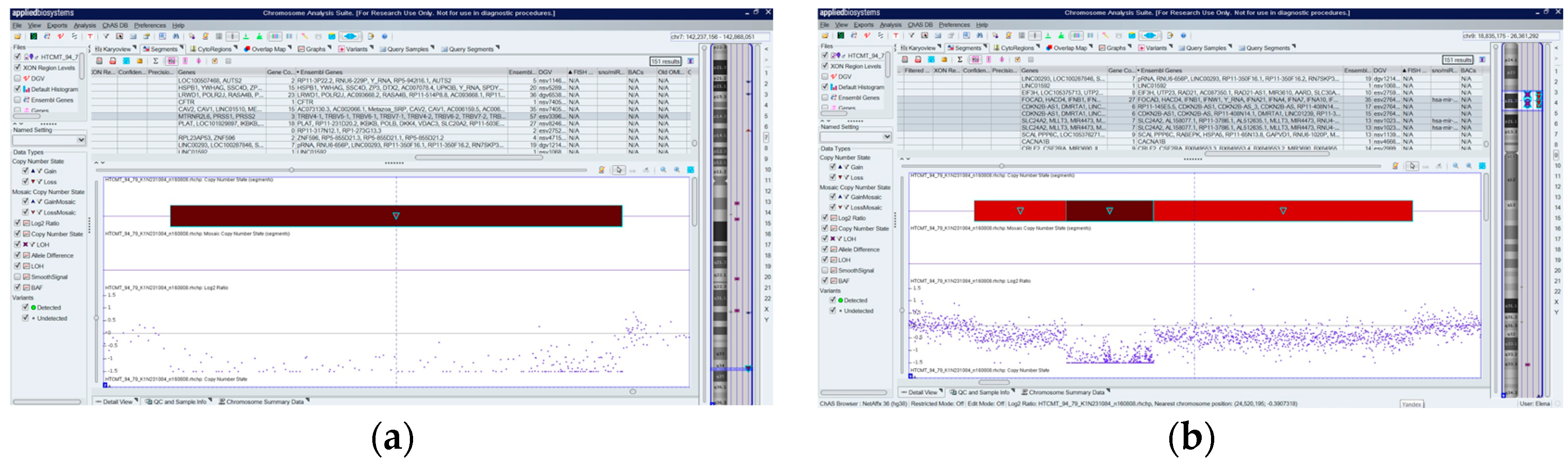 Ijms 25 10482 g001 Ijms 25 10482 g001