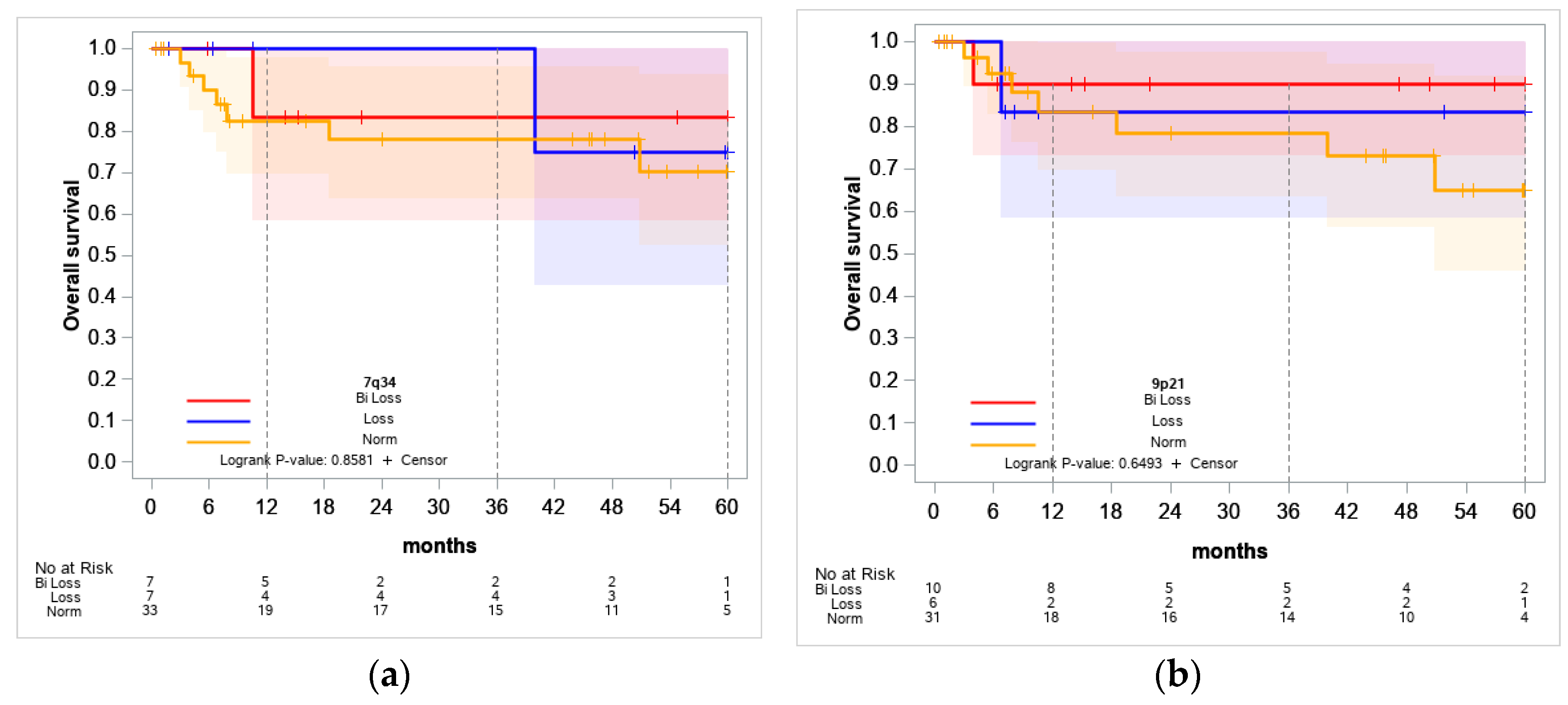 Ijms 25 10482 g005 Ijms 25 10482 g005