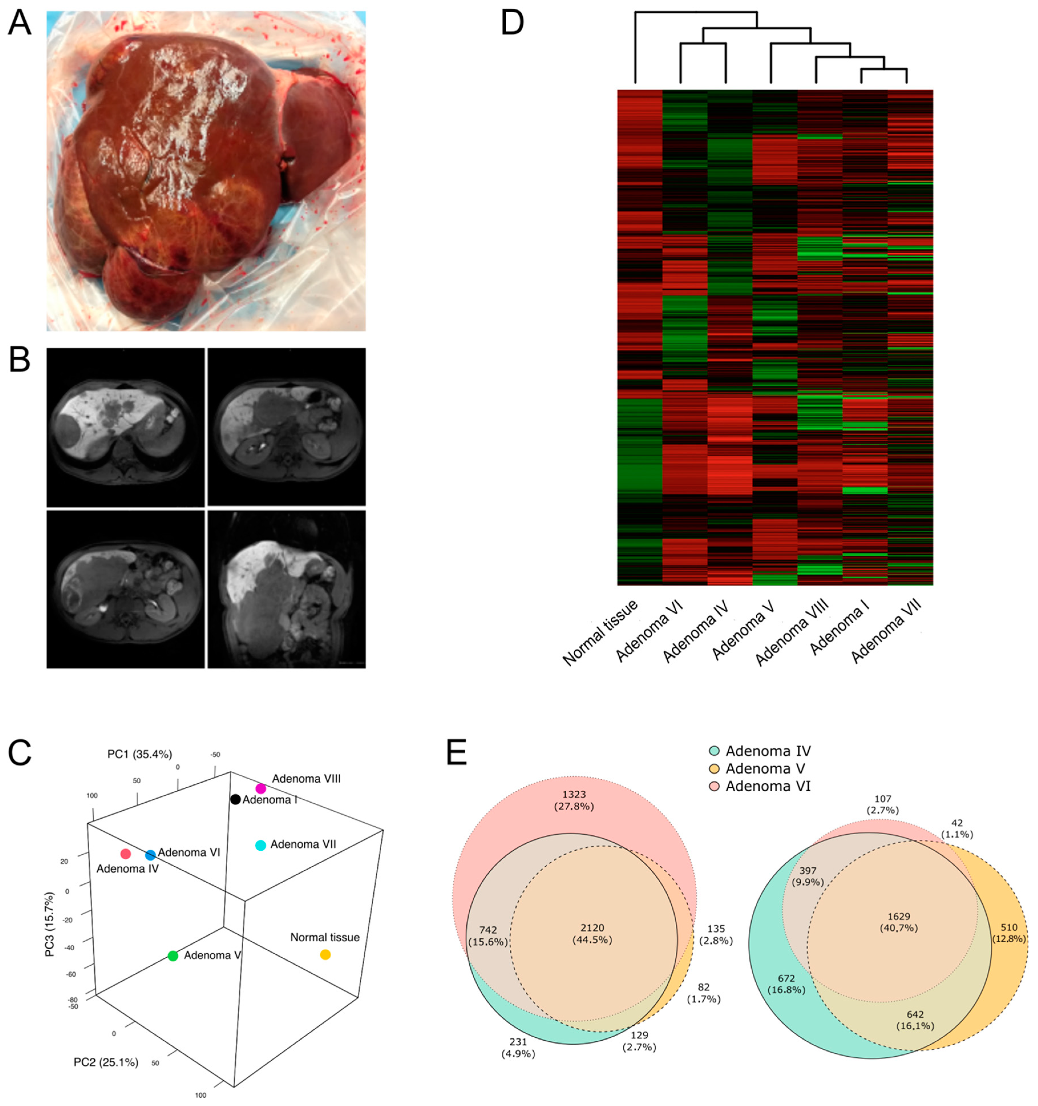 Ijms 25 10483 g001 Ijms 25 10483 g001