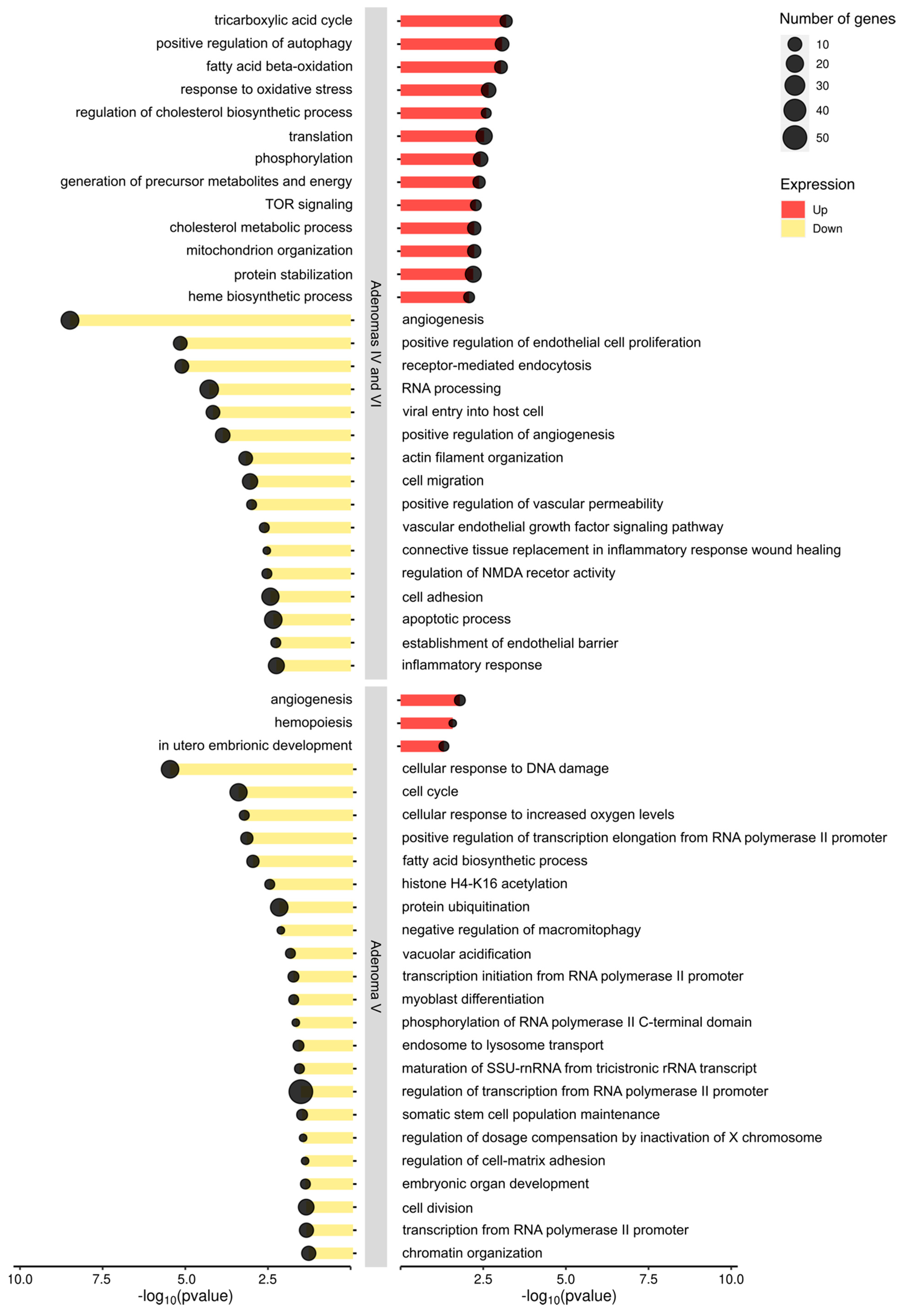 Ijms 25 10483 g002 Ijms 25 10483 g002