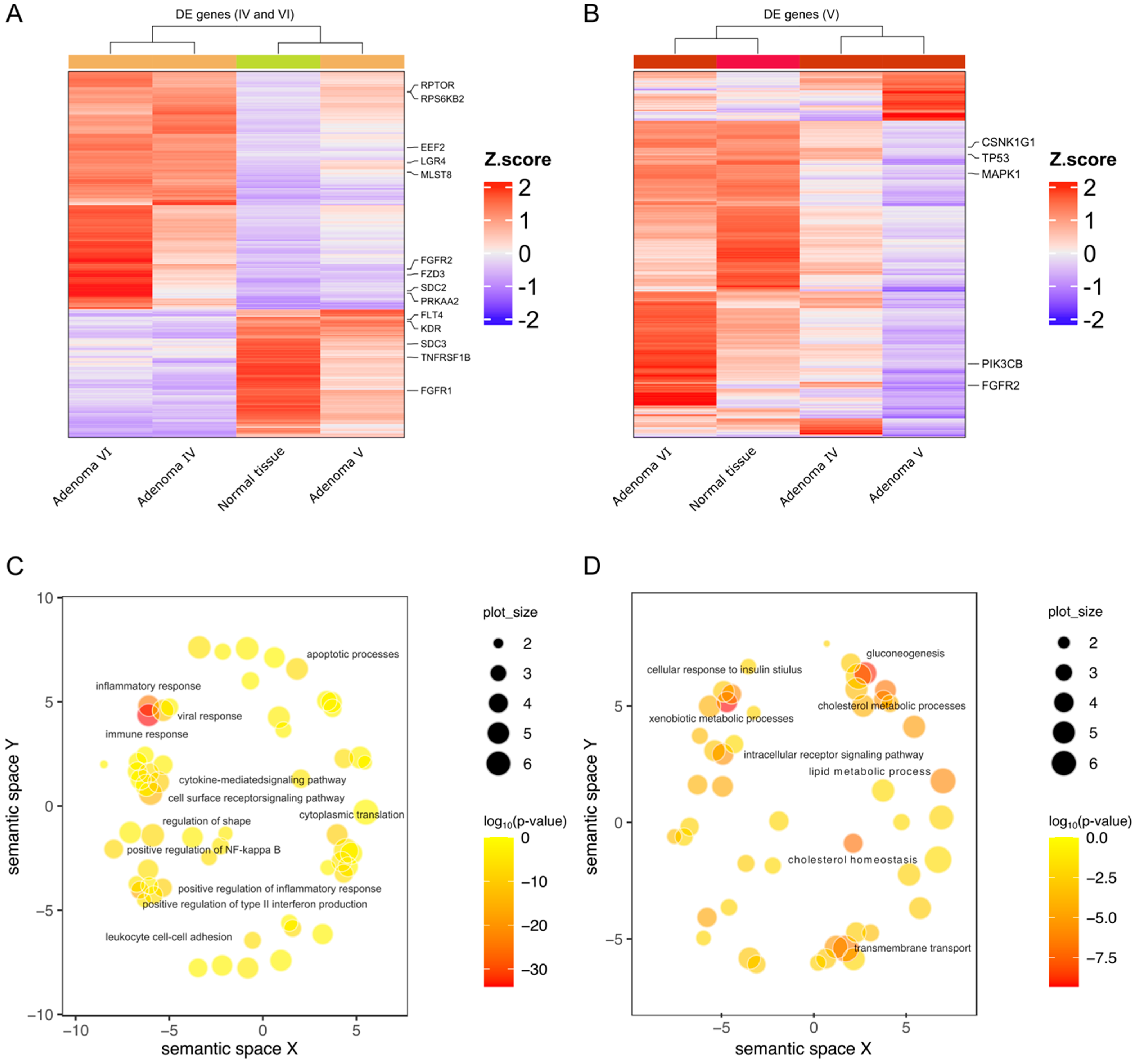 Ijms 25 10483 g003 Ijms 25 10483 g003