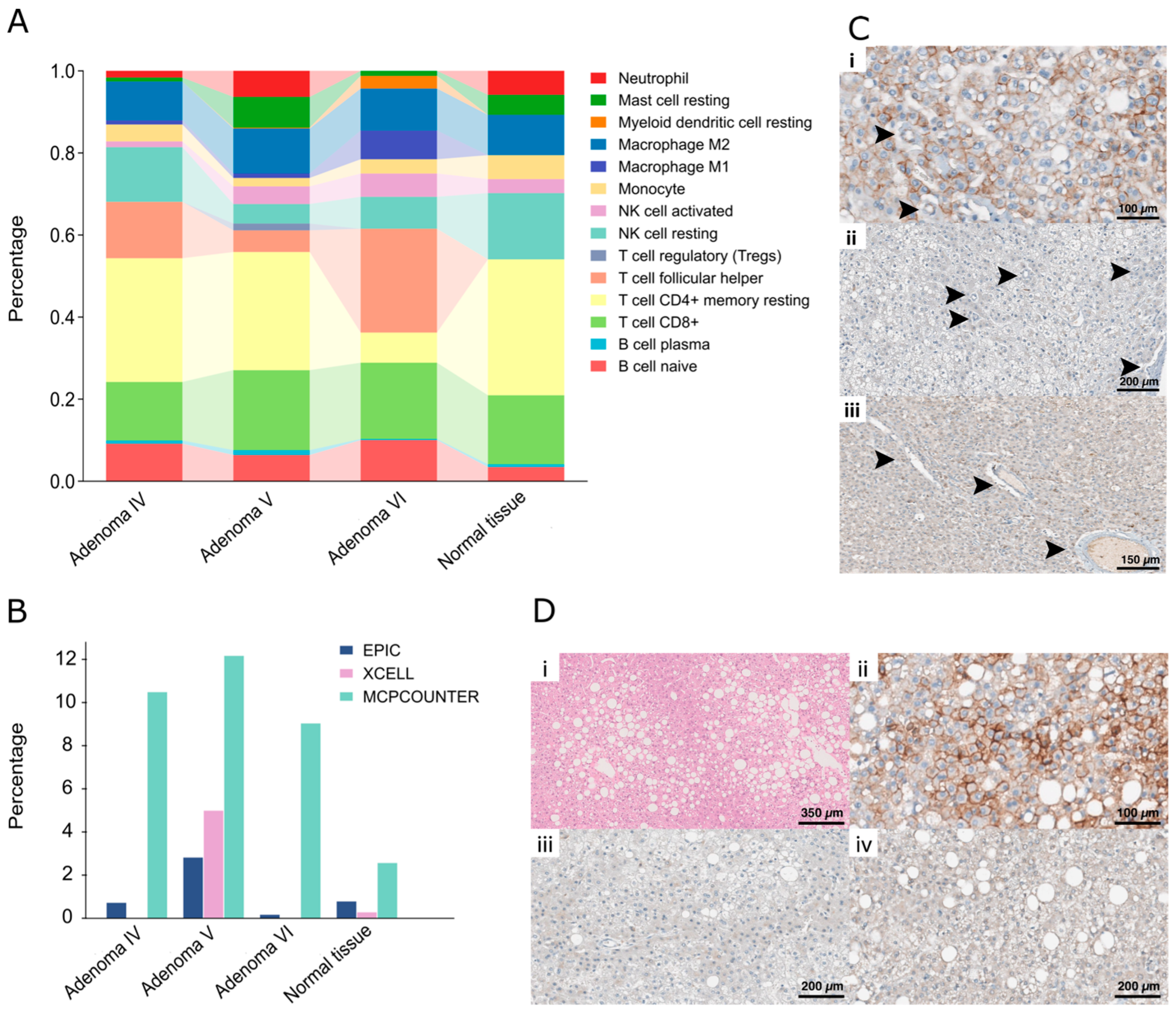 Ijms 25 10483 g004 Ijms 25 10483 g004