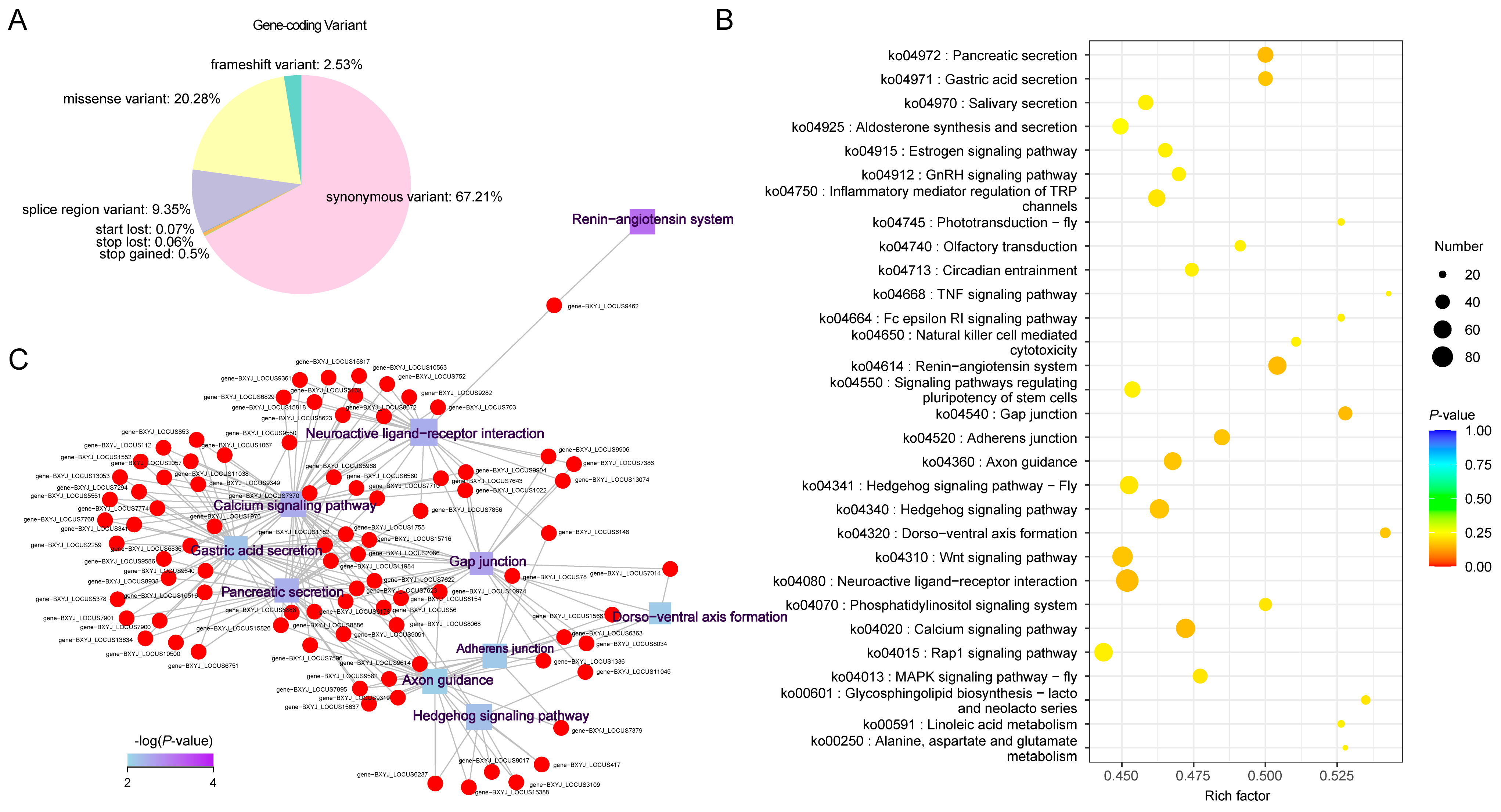 Ijms 25 10492 g003 Ijms 25 10492 g003