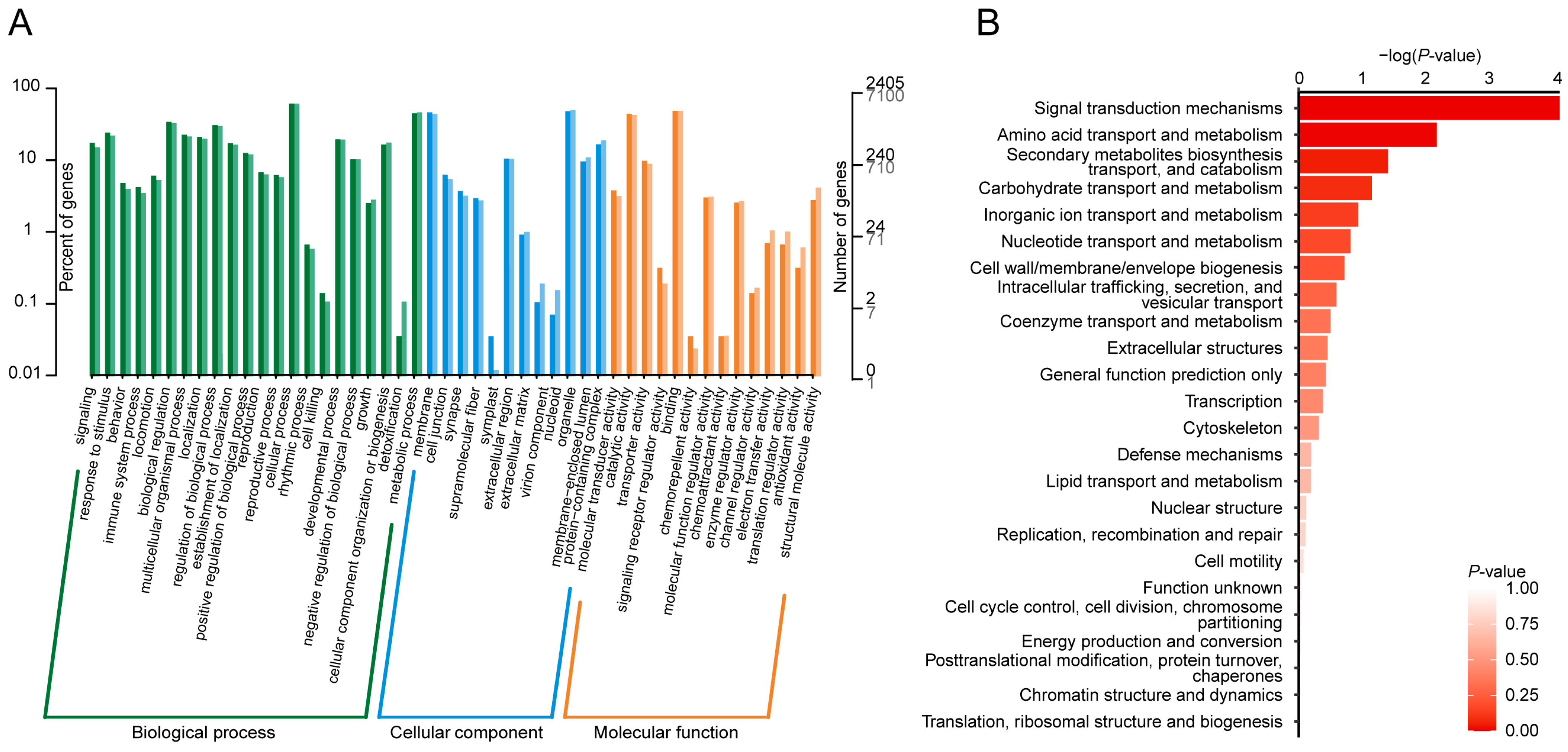 Ijms 25 10492 g004 Ijms 25 10492 g004