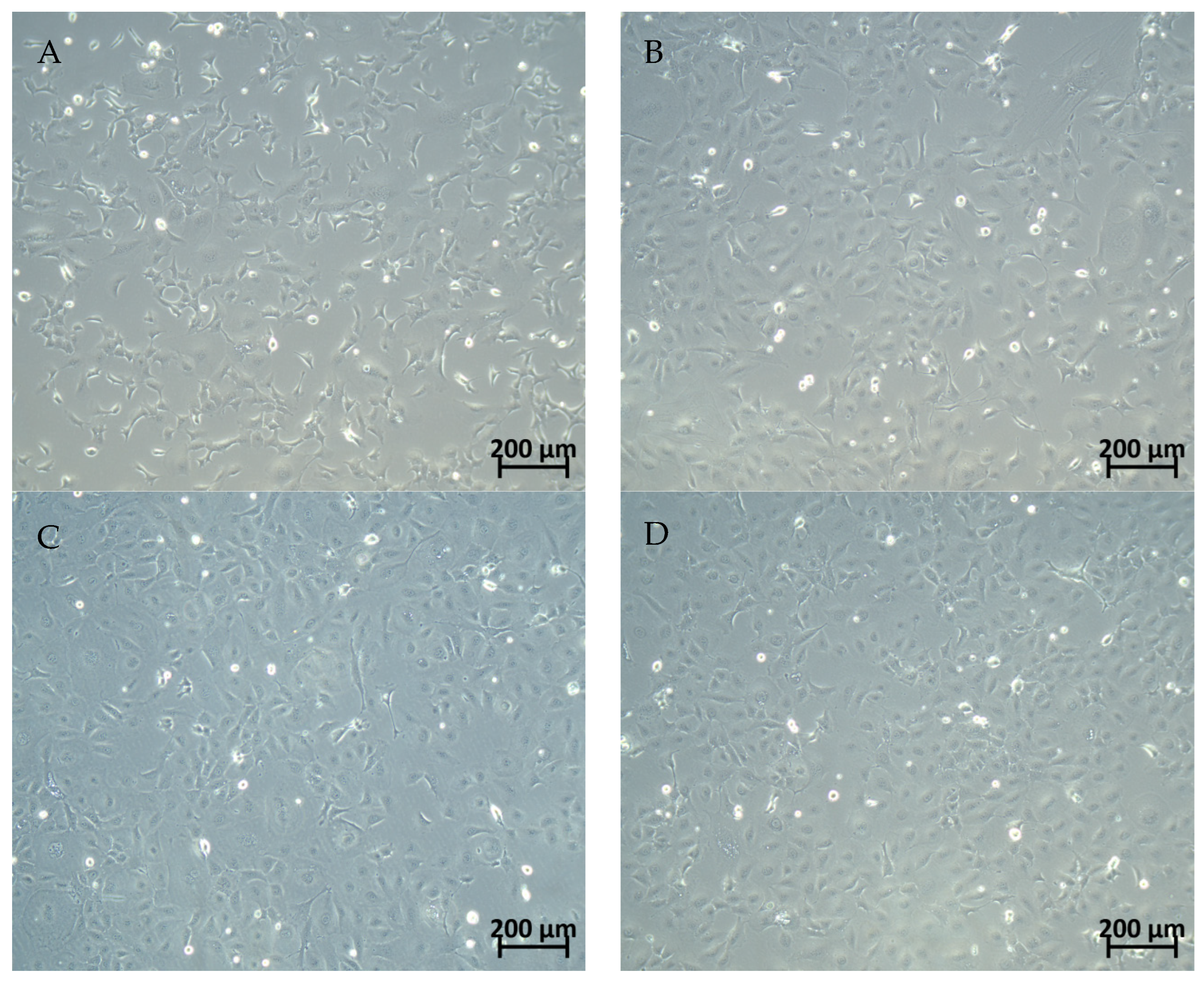 Ijms 25 10497 g001 Ijms 25 10497 g001