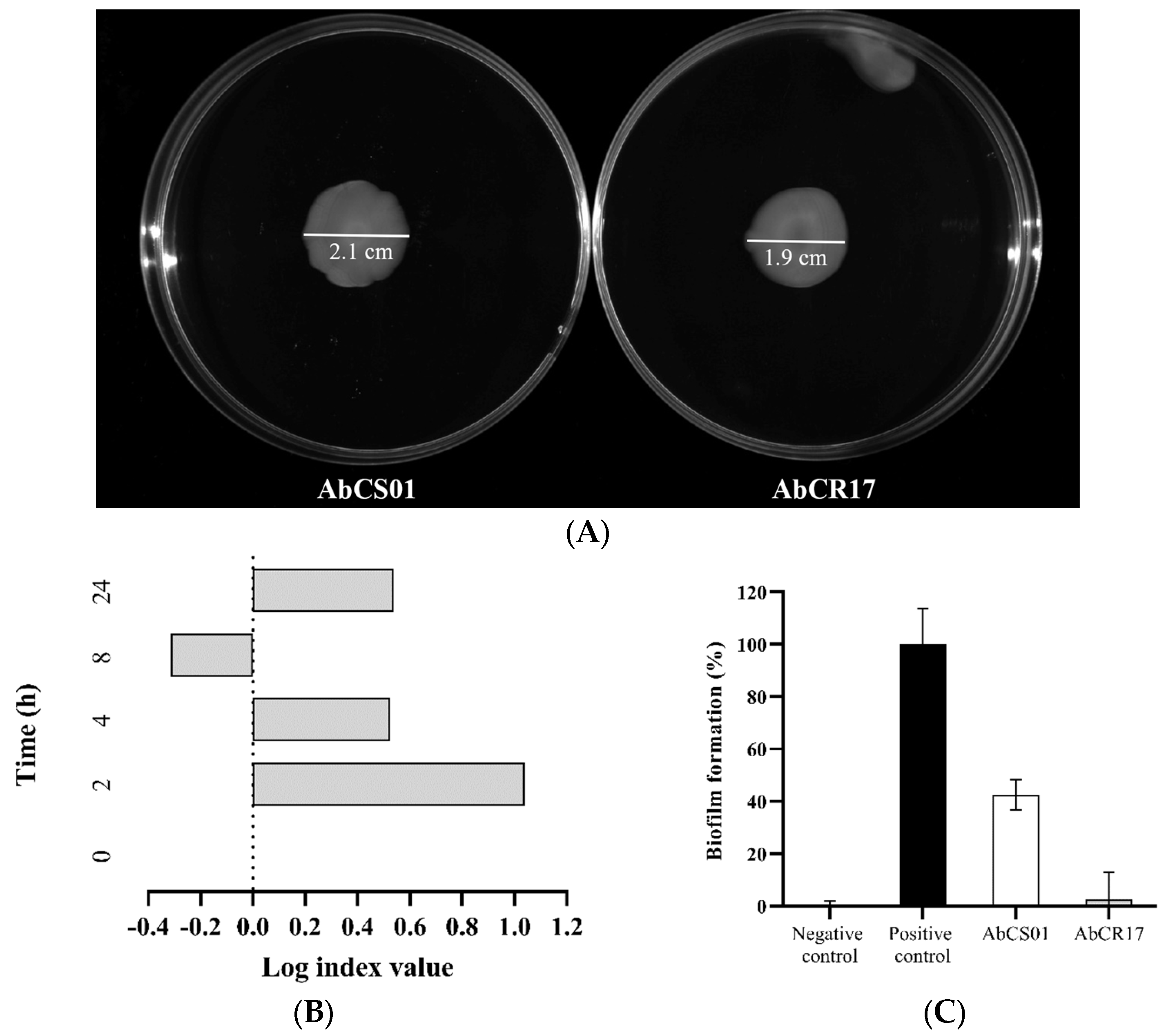 Ijms 25 10550 g001 Ijms 25 10550 g001