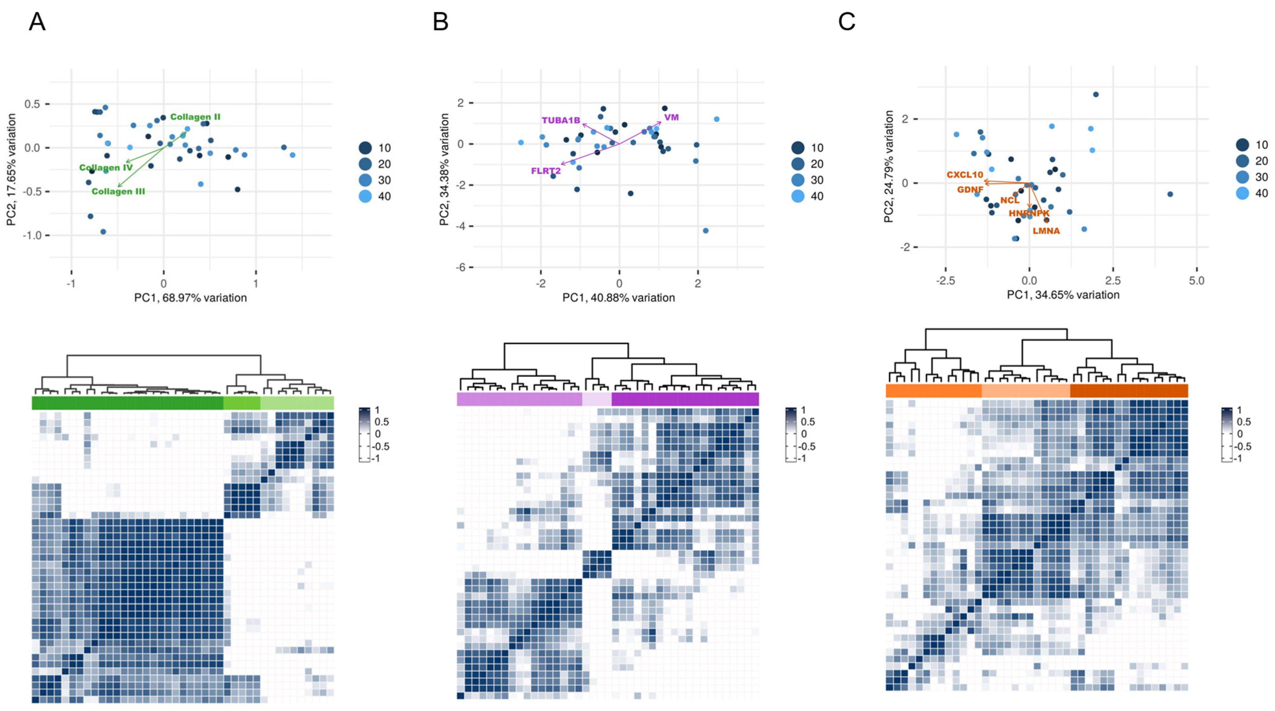 Ijms 25 10562 g003 Ijms 25 10562 g003
