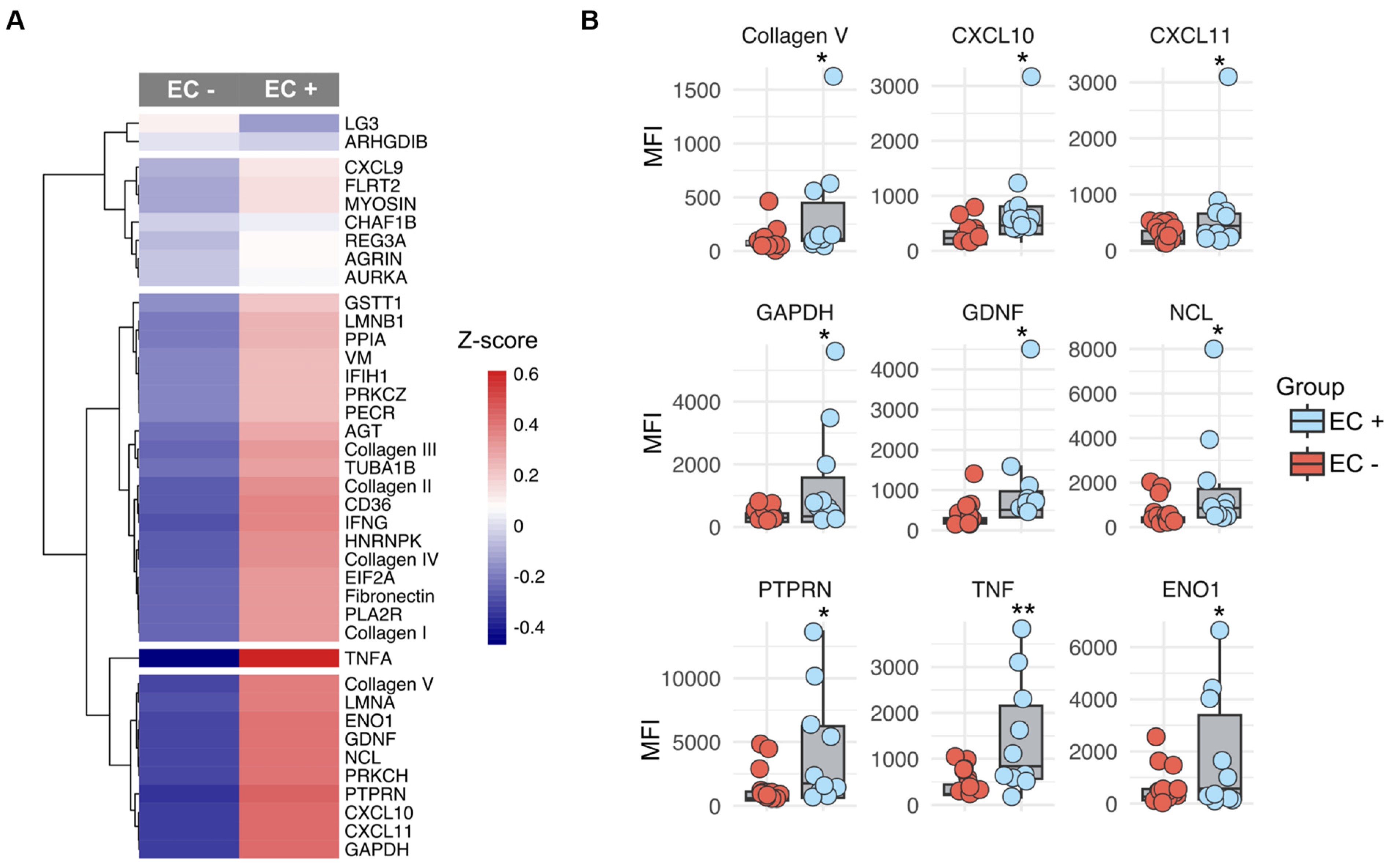 Ijms 25 10562 g004 Ijms 25 10562 g004