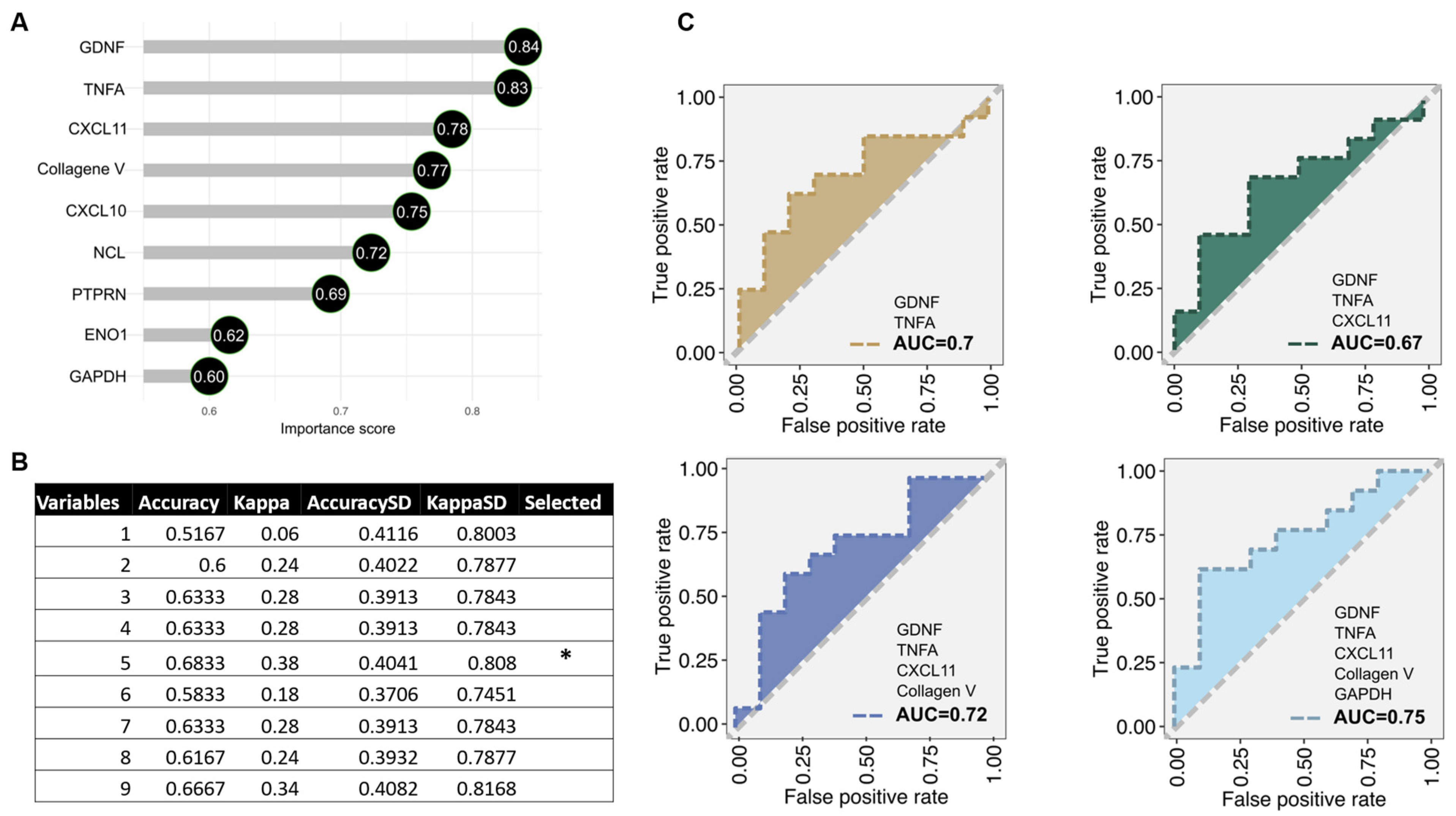 Ijms 25 10562 g005 Ijms 25 10562 g005