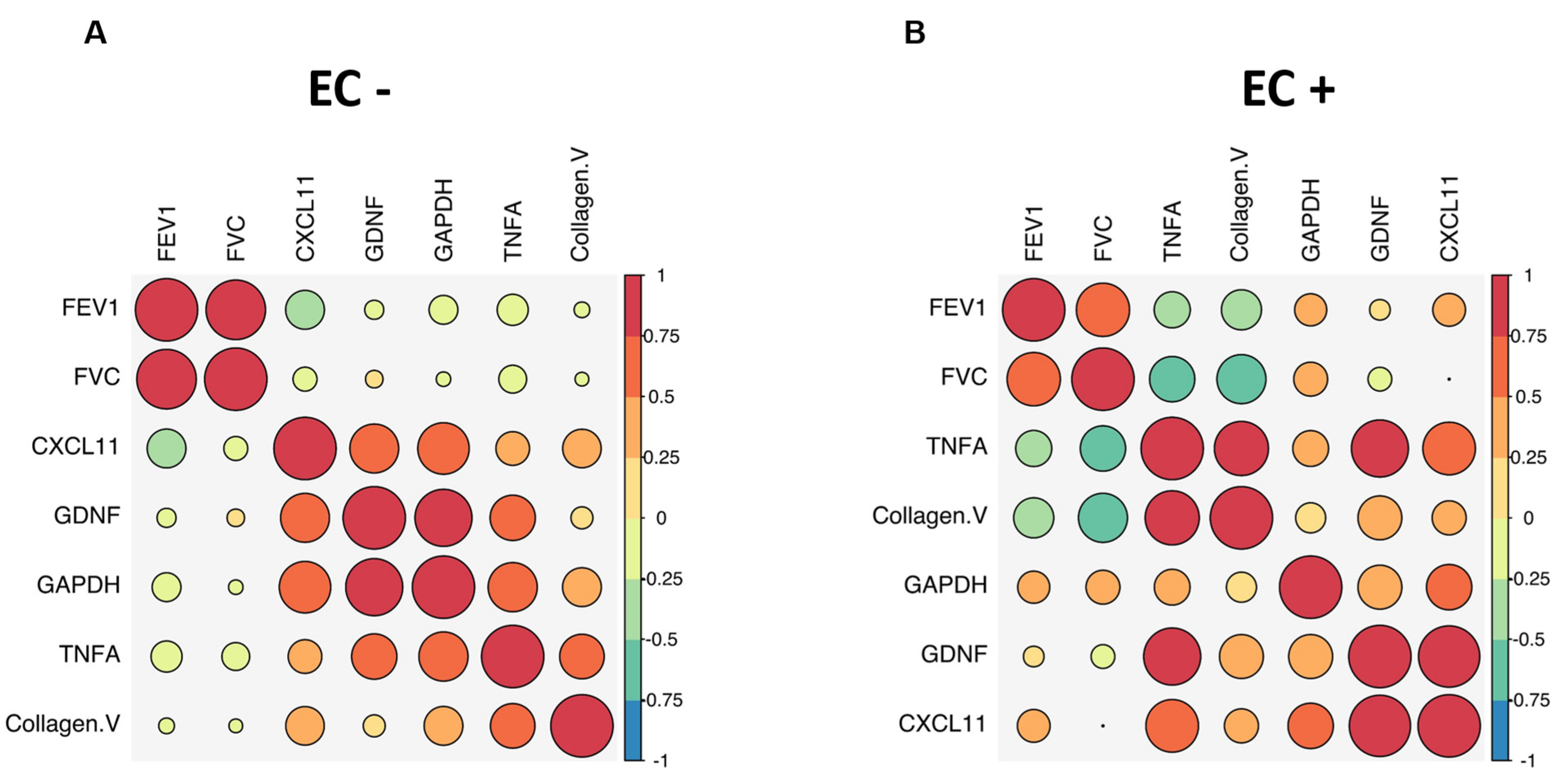 Ijms 25 10562 g007 Ijms 25 10562 g007