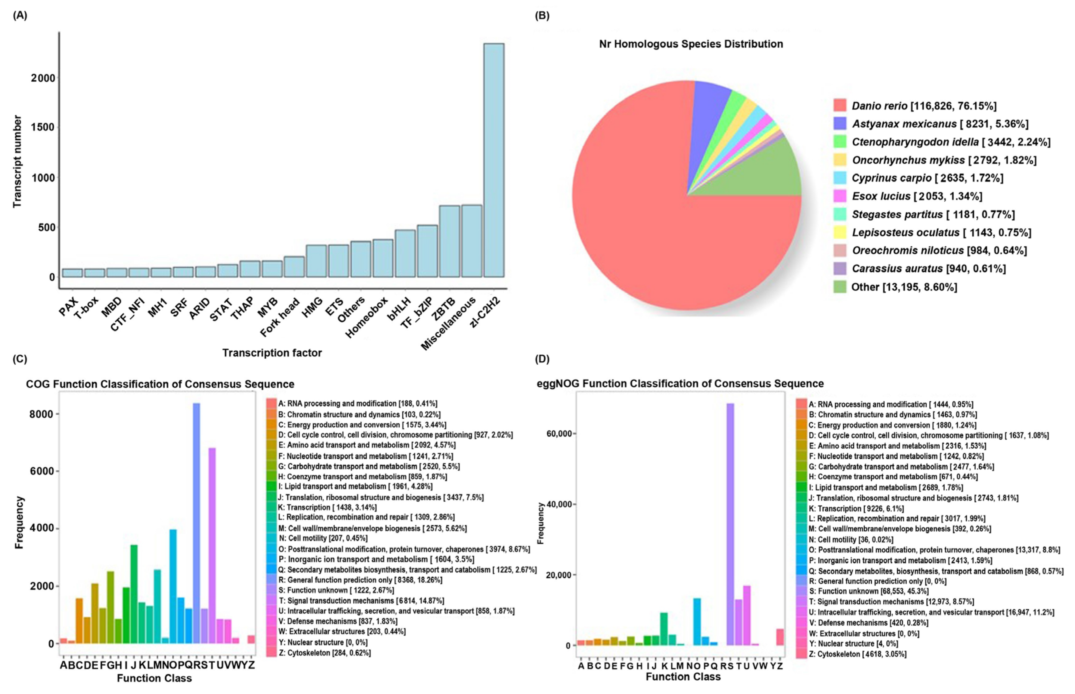 Ijms 25 10566 g001 Ijms 25 10566 g001