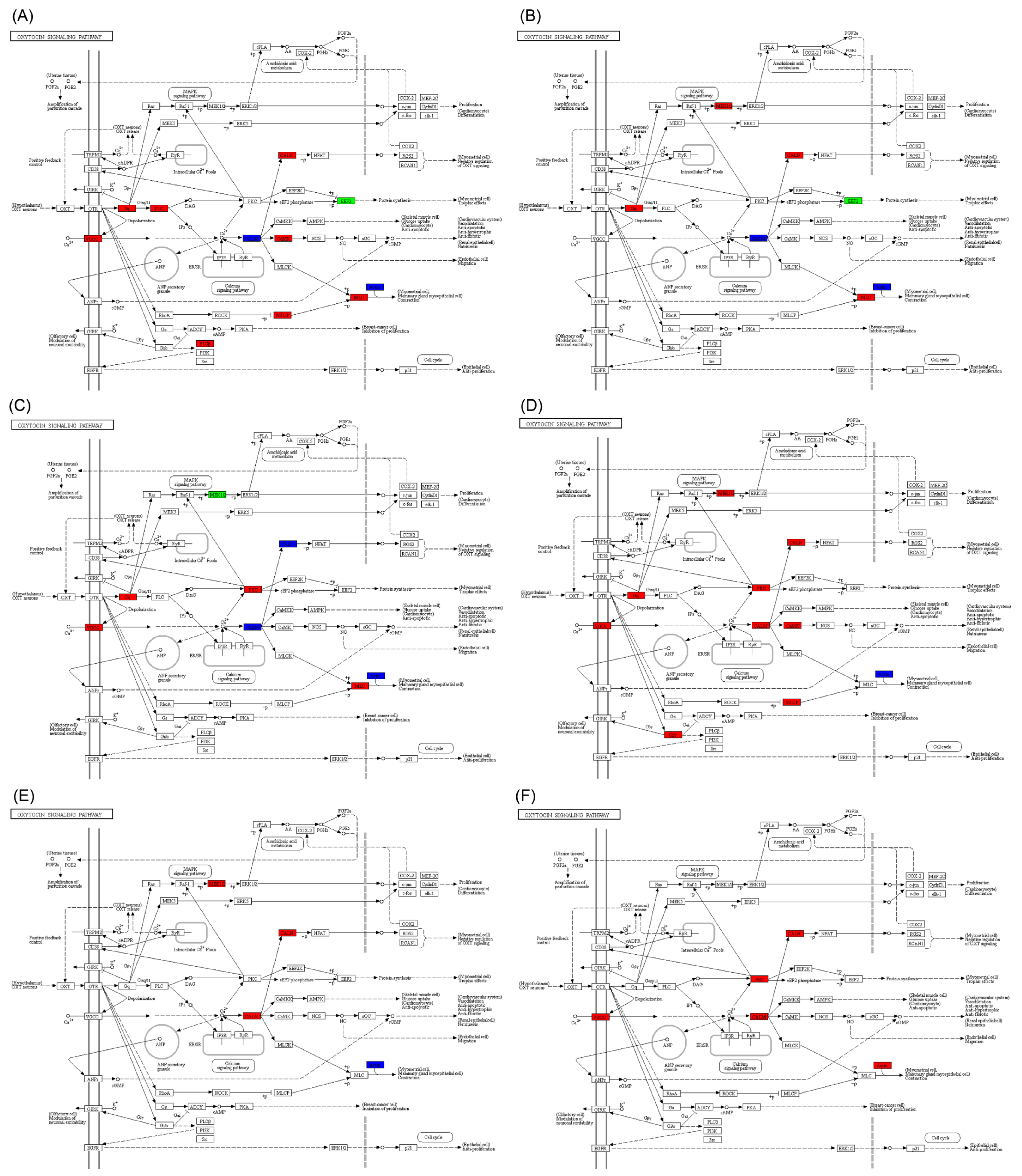 Ijms 25 10566 g004 Ijms 25 10566 g004