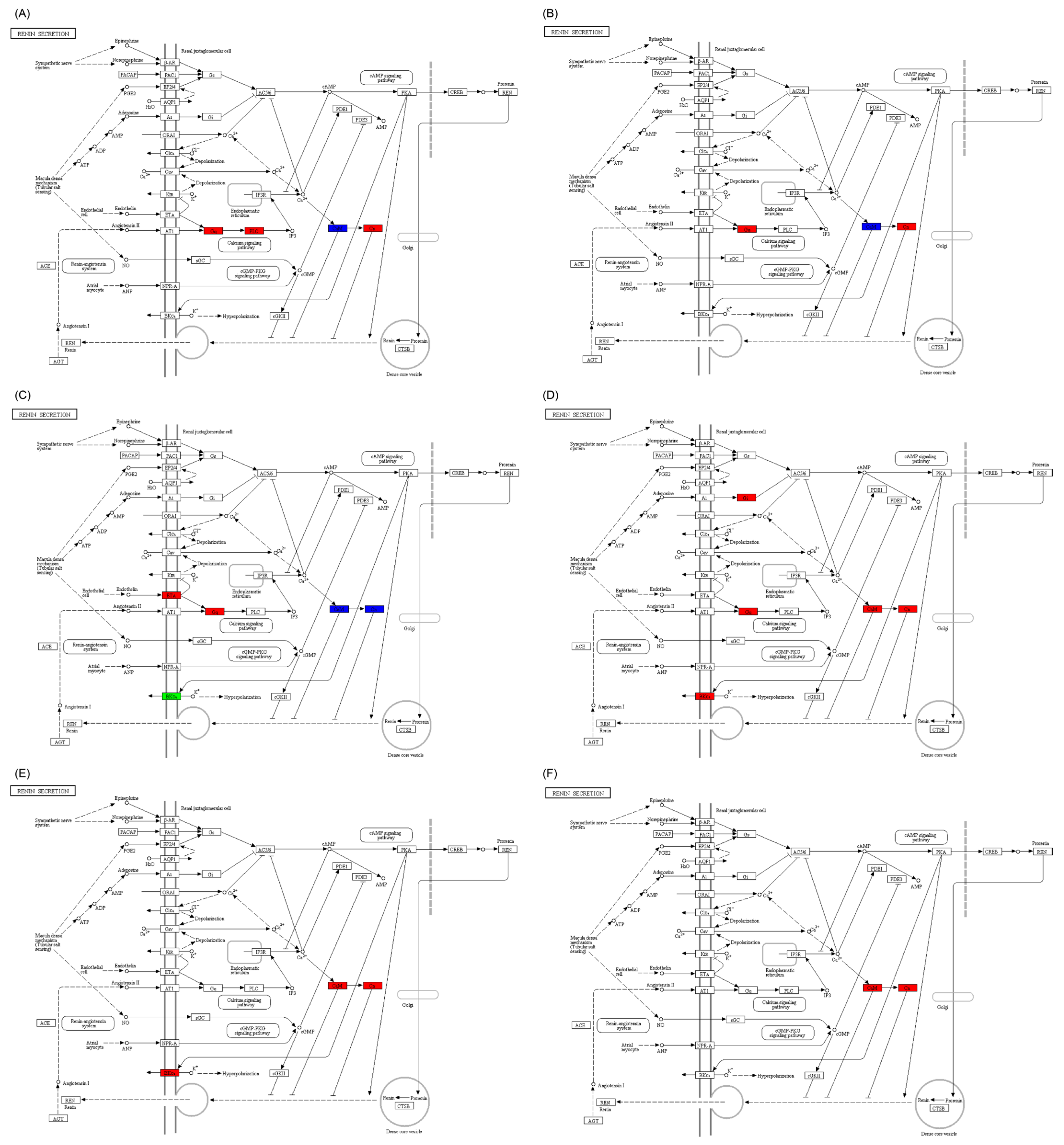 Ijms 25 10566 g005 Ijms 25 10566 g005