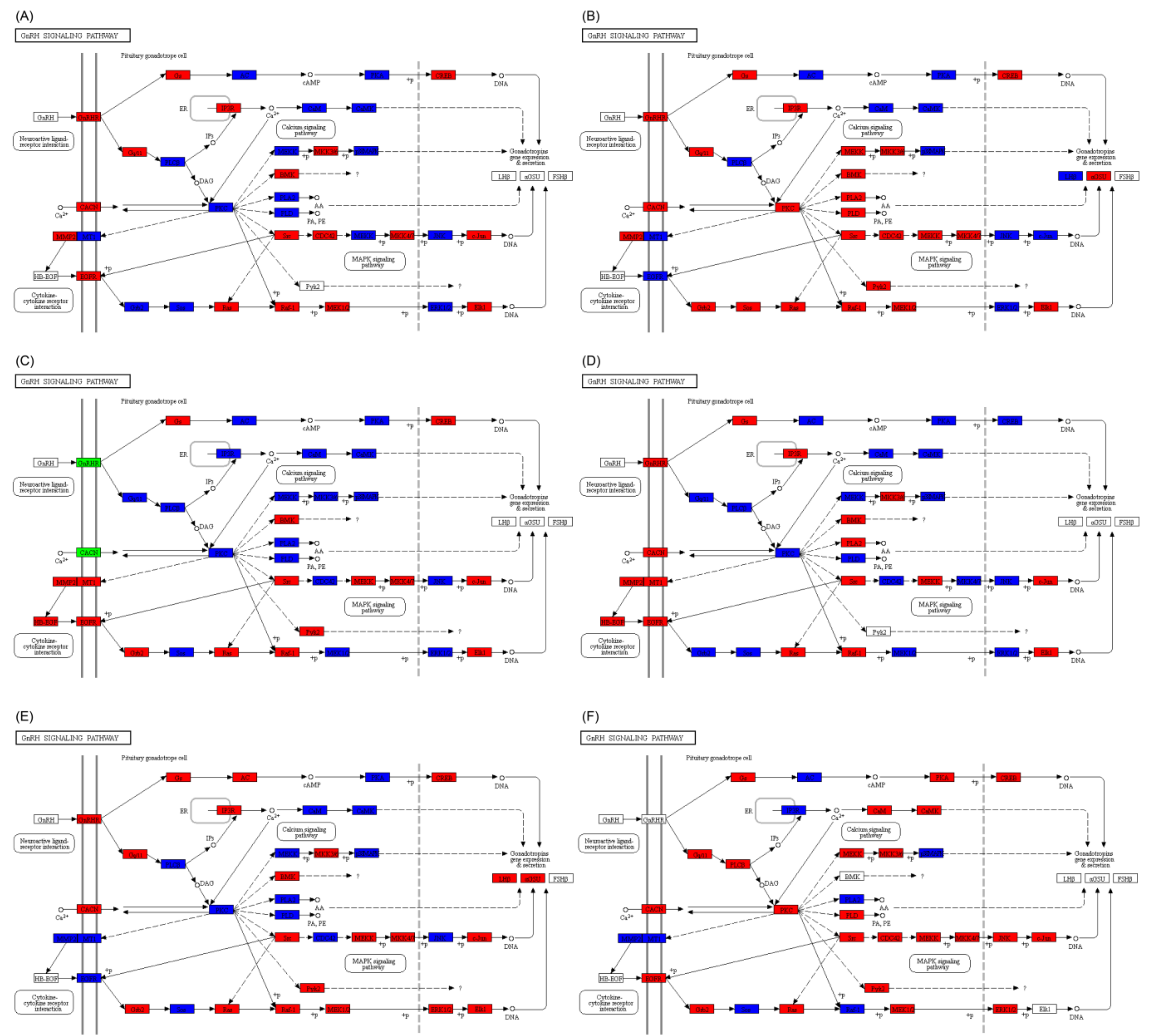 Ijms 25 10566 g007 Ijms 25 10566 g007