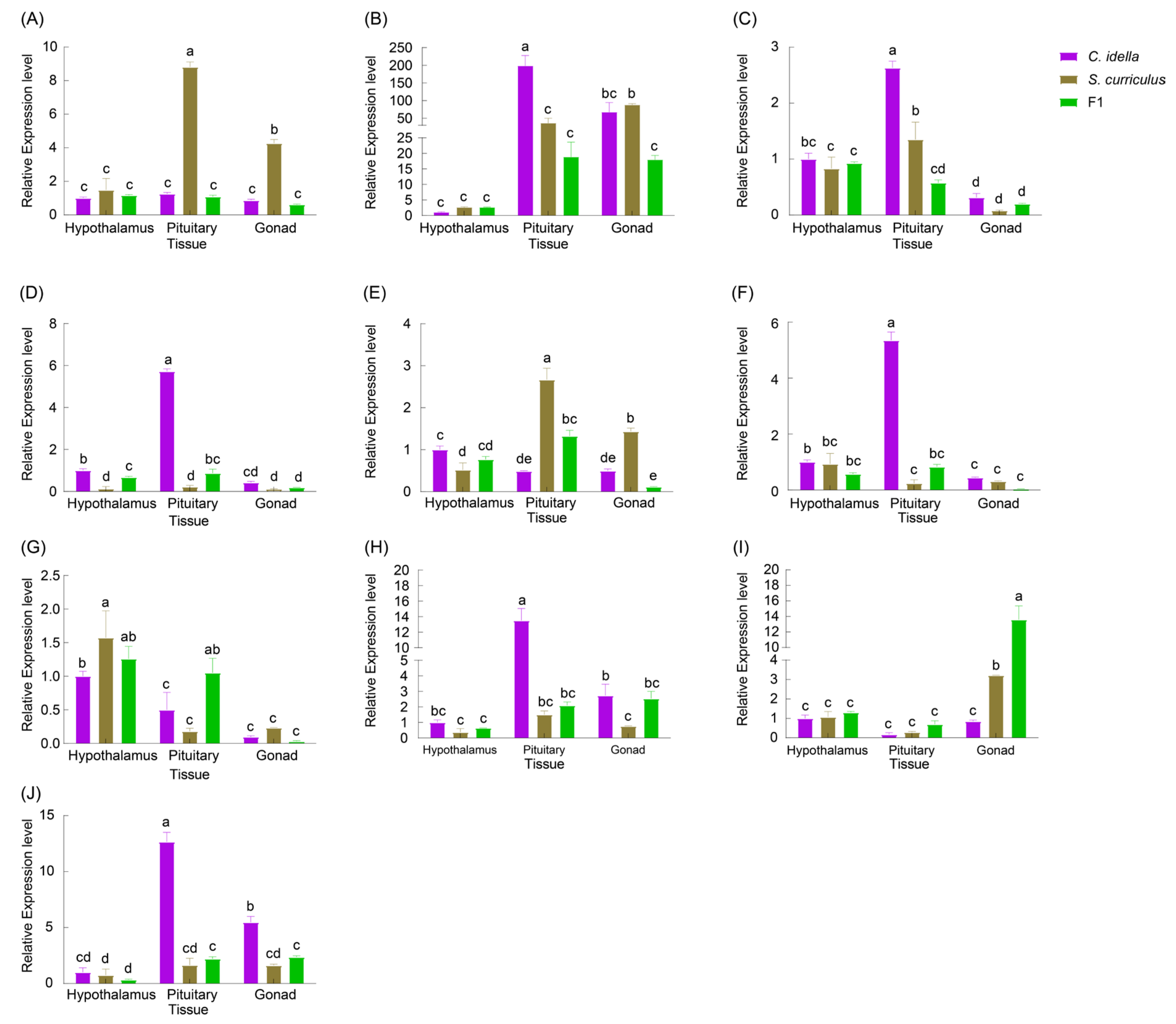 Ijms 25 10566 g008 Ijms 25 10566 g008