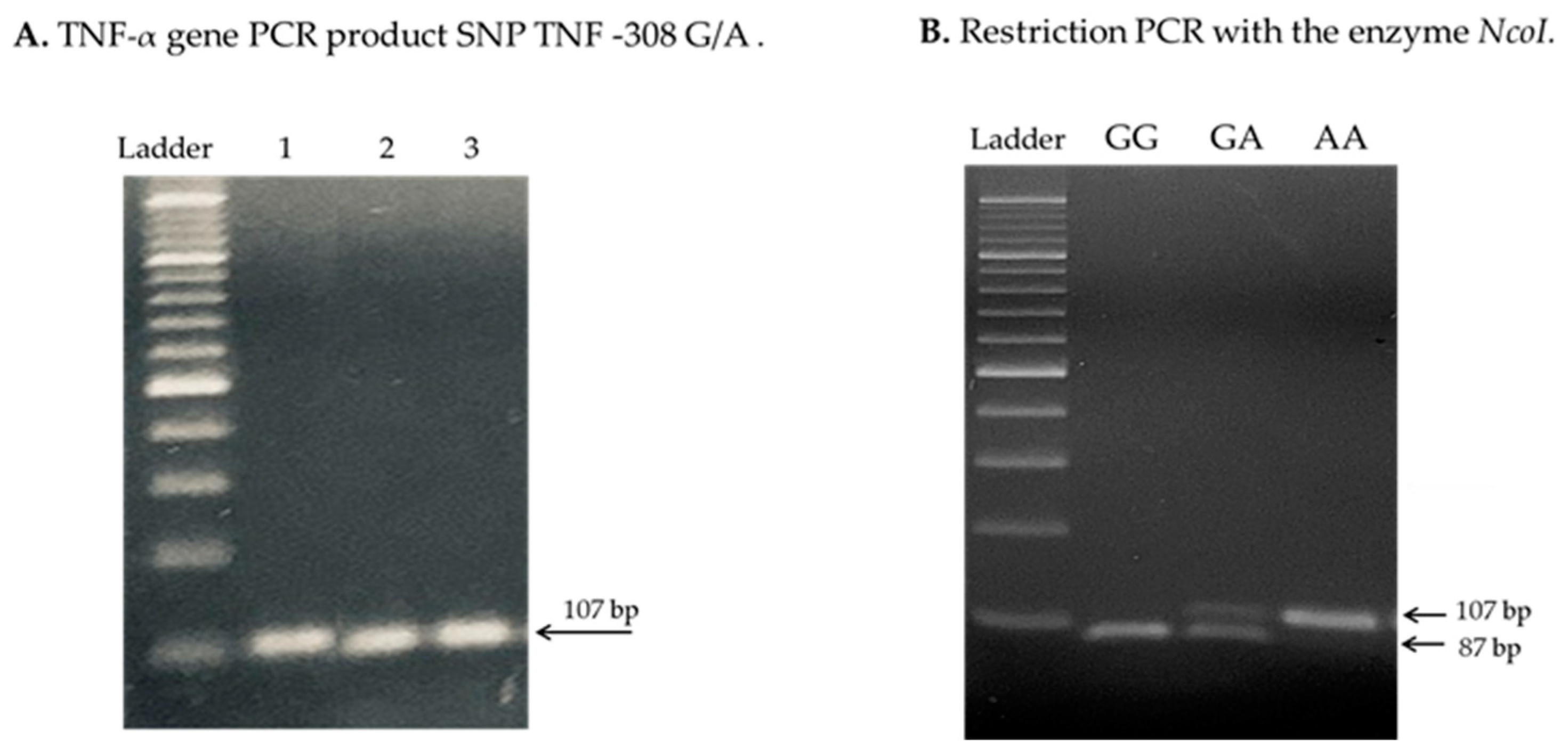 Ijms 25 10590 g0a2 Ijms 25 10590 g0a2