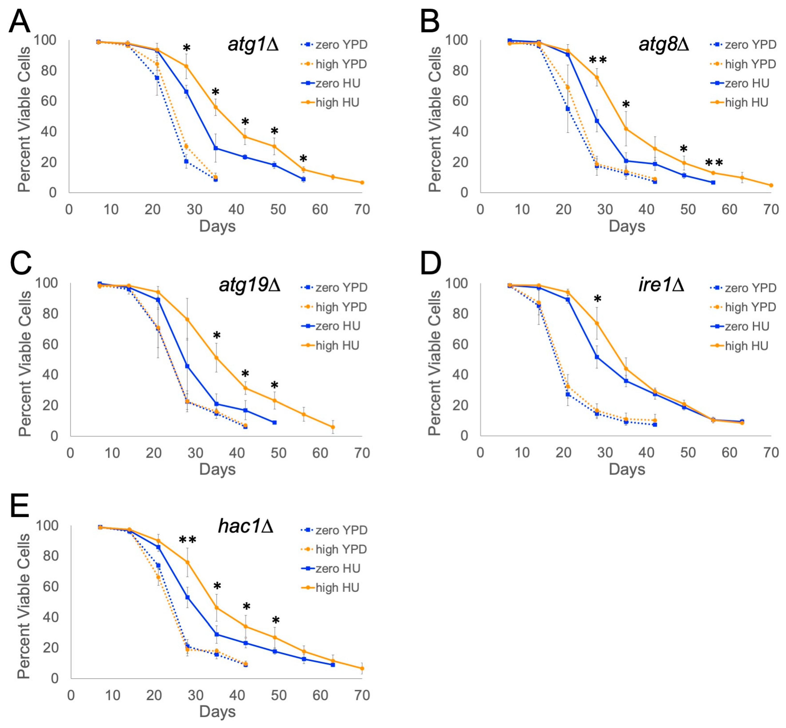 Ijms 25 10593 g002 Ijms 25 10593 g002