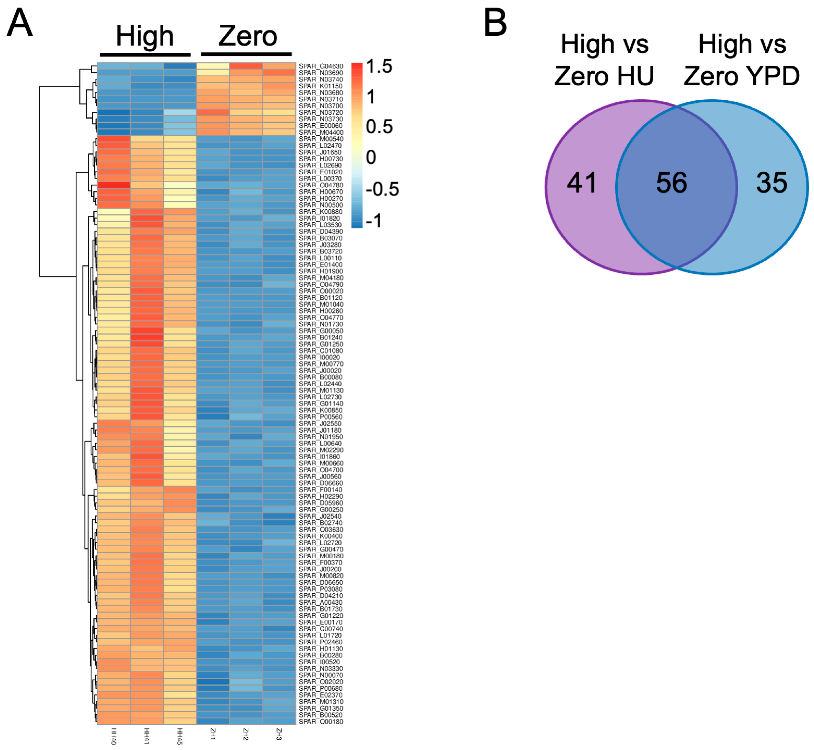 Ijms 25 10593 g004 Ijms 25 10593 g004