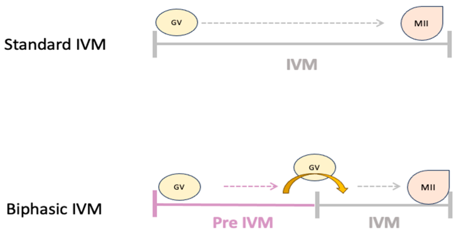 Ijms 25 10605 g002 Ijms 25 10605 g002